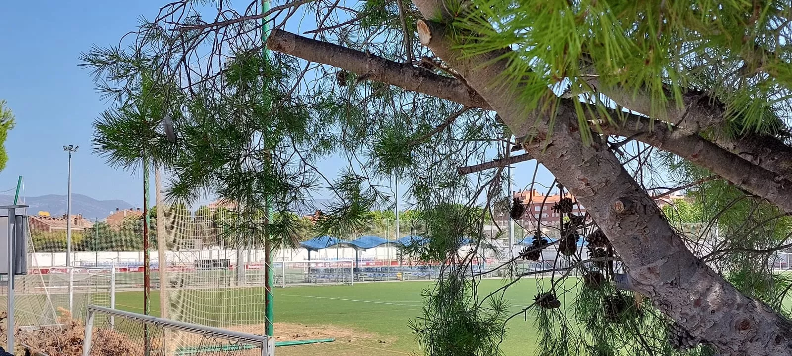 Daños en los campos de San Jorge