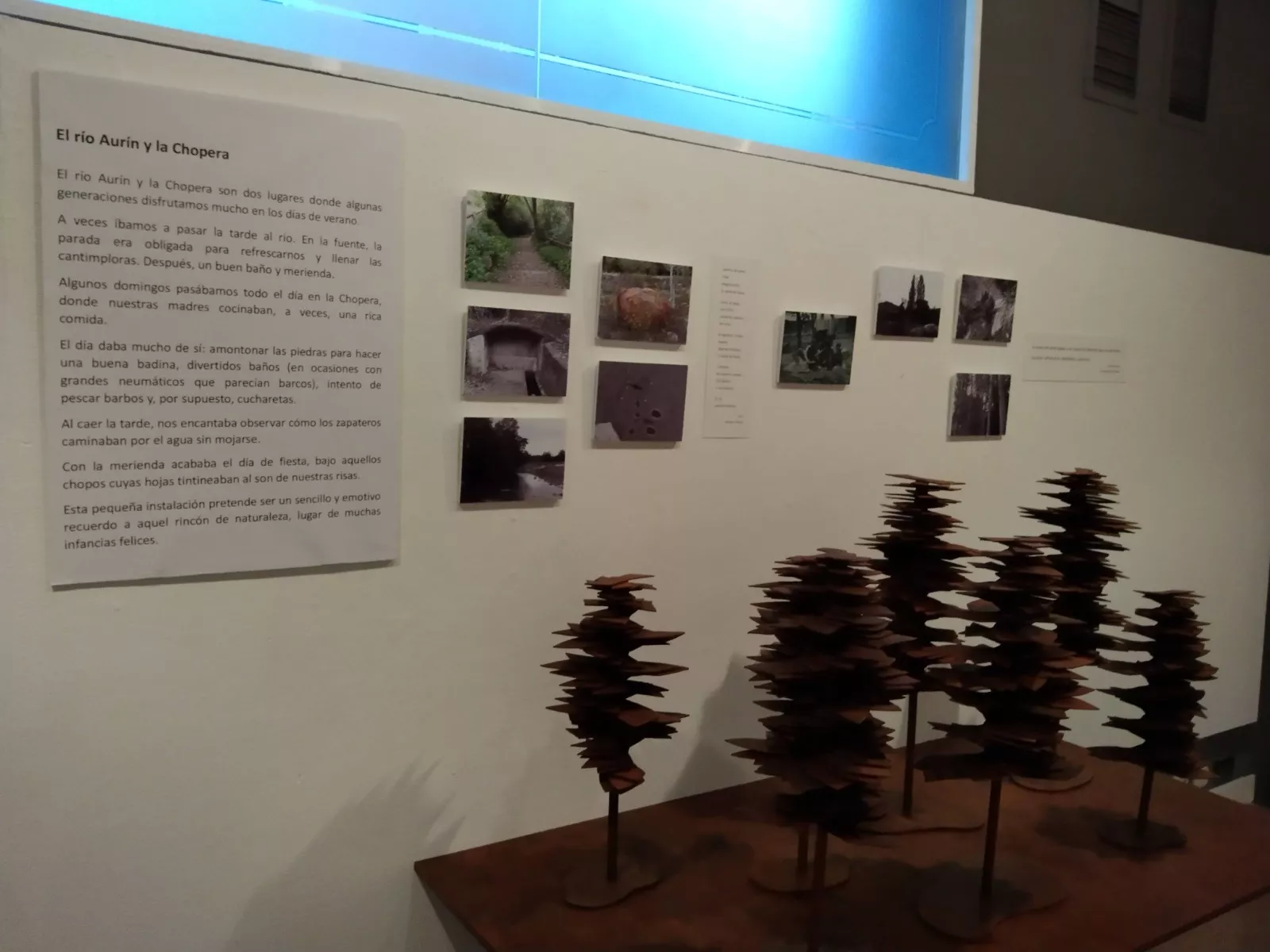 Exposición de Milagros Palacín en Sabiñánigo.
