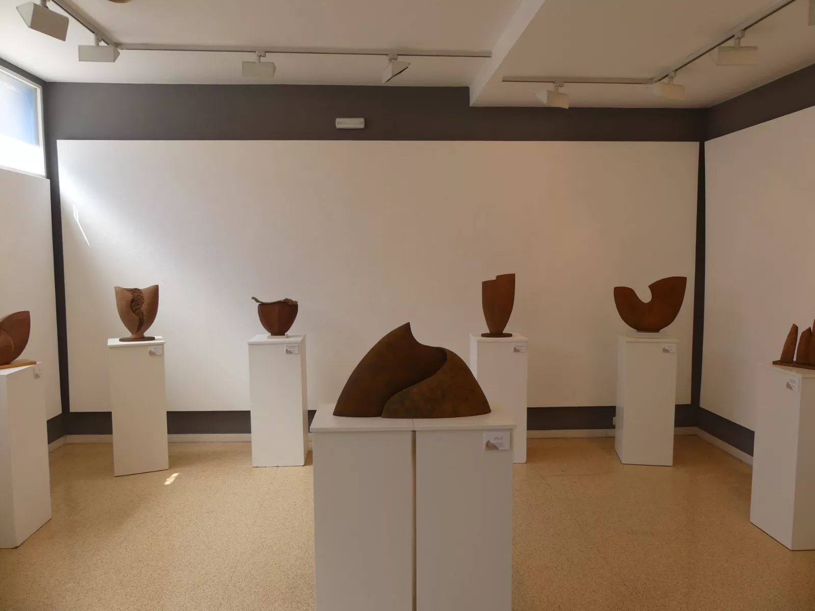 Exposición de Milagros Palacín en Sabiñánigo.