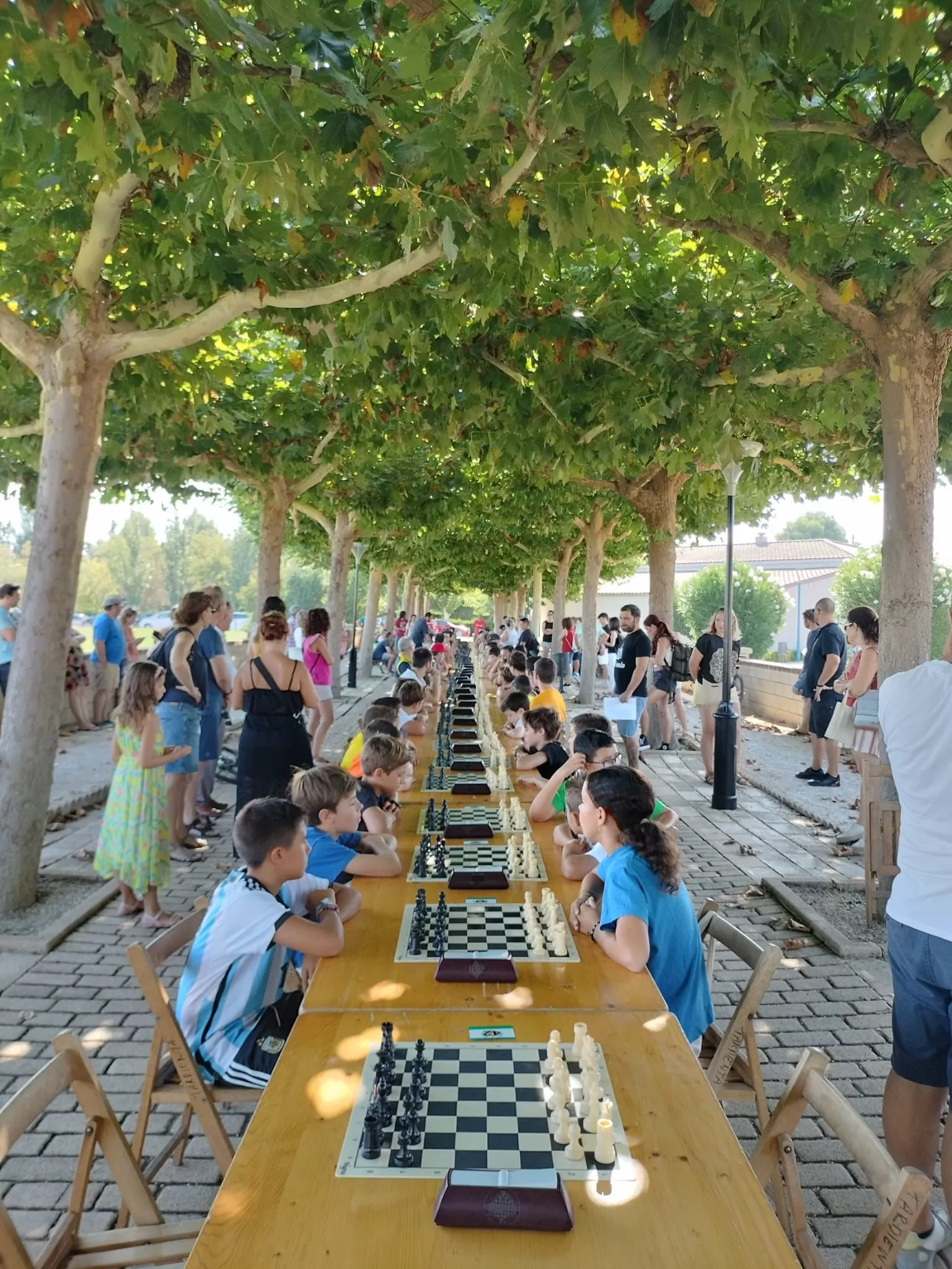 Torneo de Ajedrez de Tardienta 