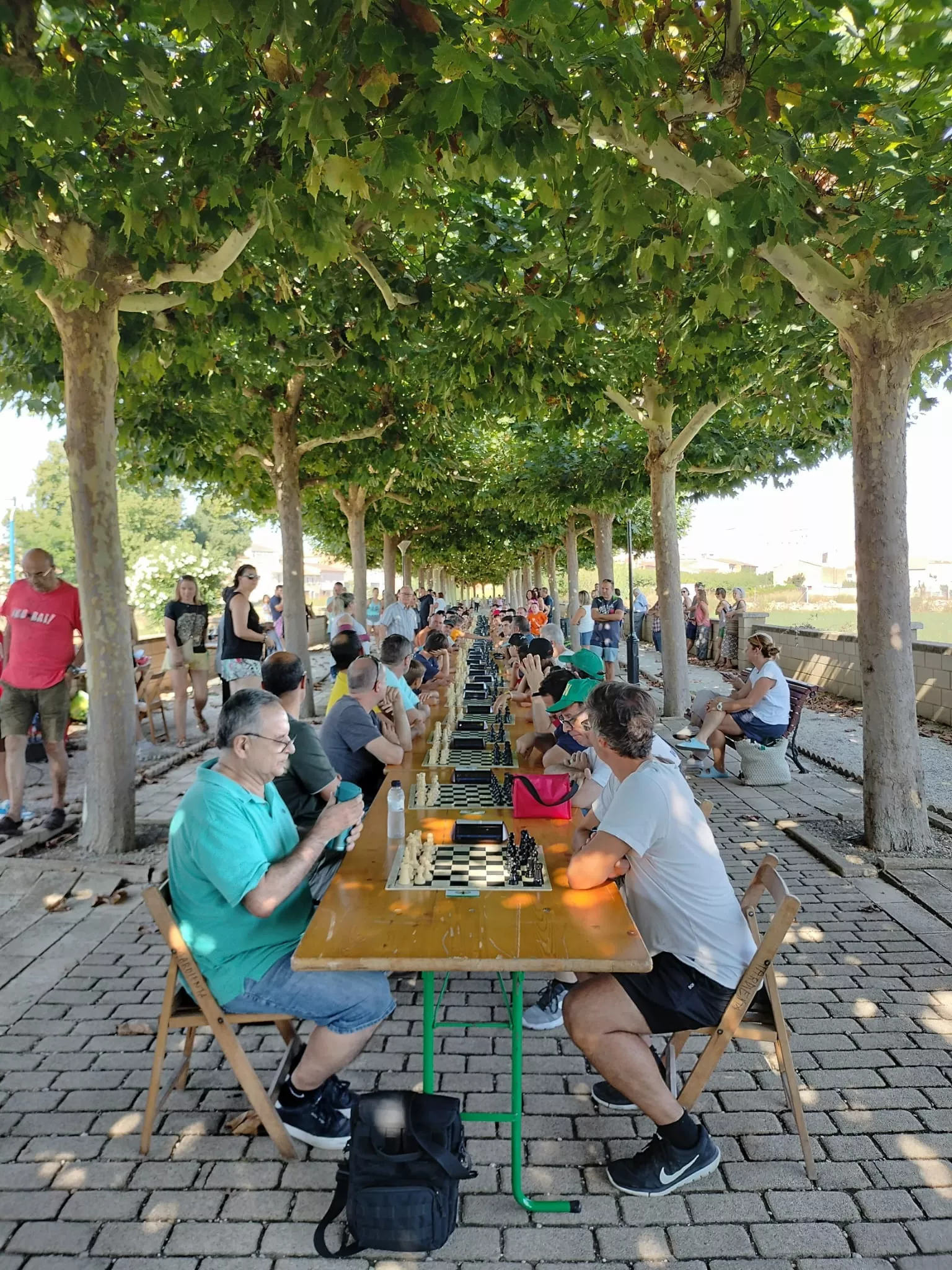 Torneo de Ajedrez de Tardienta 