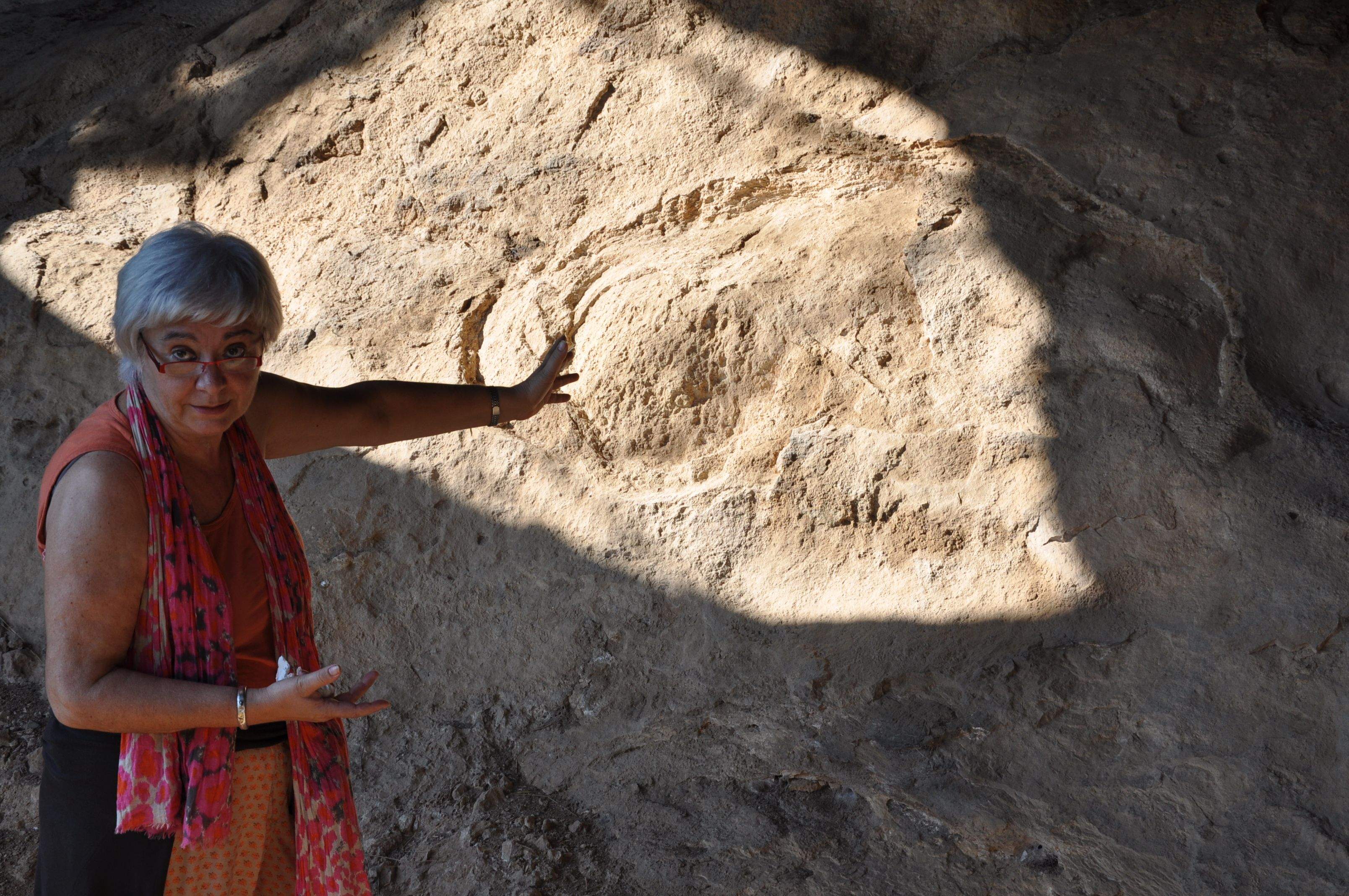 Pilar Utrilla analiza en Huesca el posible carácter de santuario del valle del Vero. Foto: Unizar