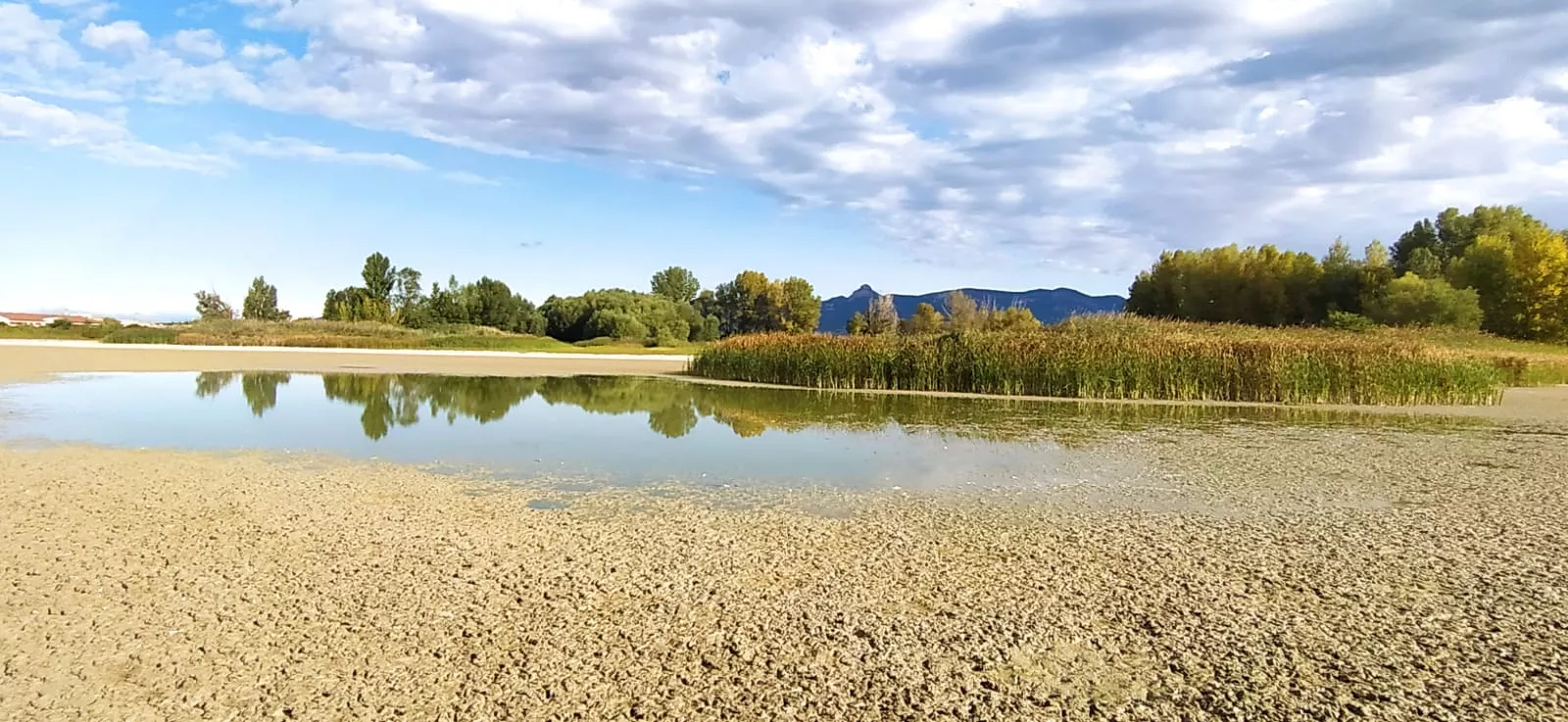 Estado en que se encuentra la alberca de Cortés. Foto Joaquín Santafé