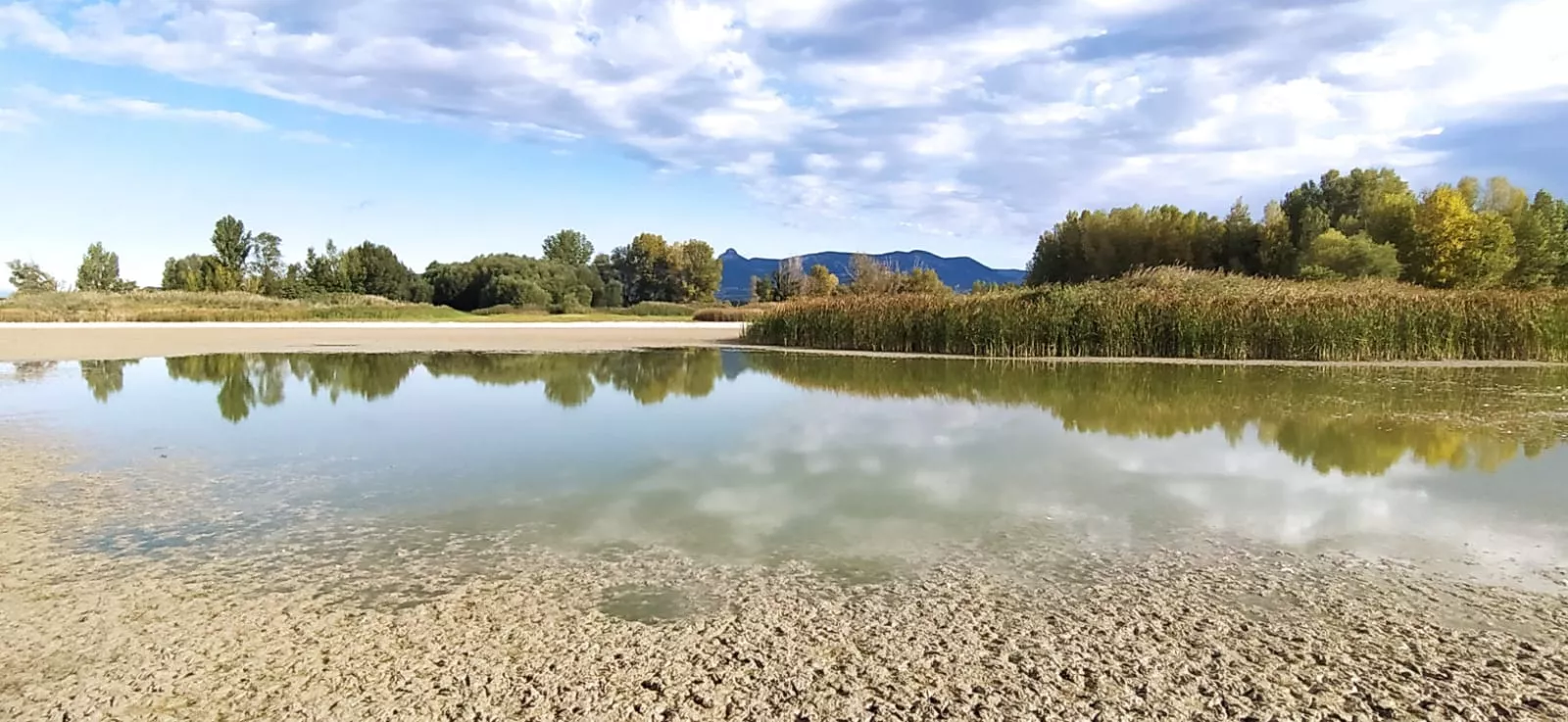 Estado en que se encuentra la alberca de Cortés. Foto Joaquín Santafé