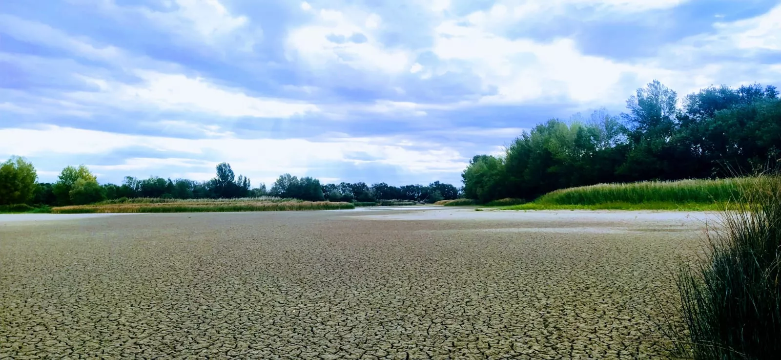 Estado en que se encuentra la alberca de Cortés. Foto Joaquín Santafé