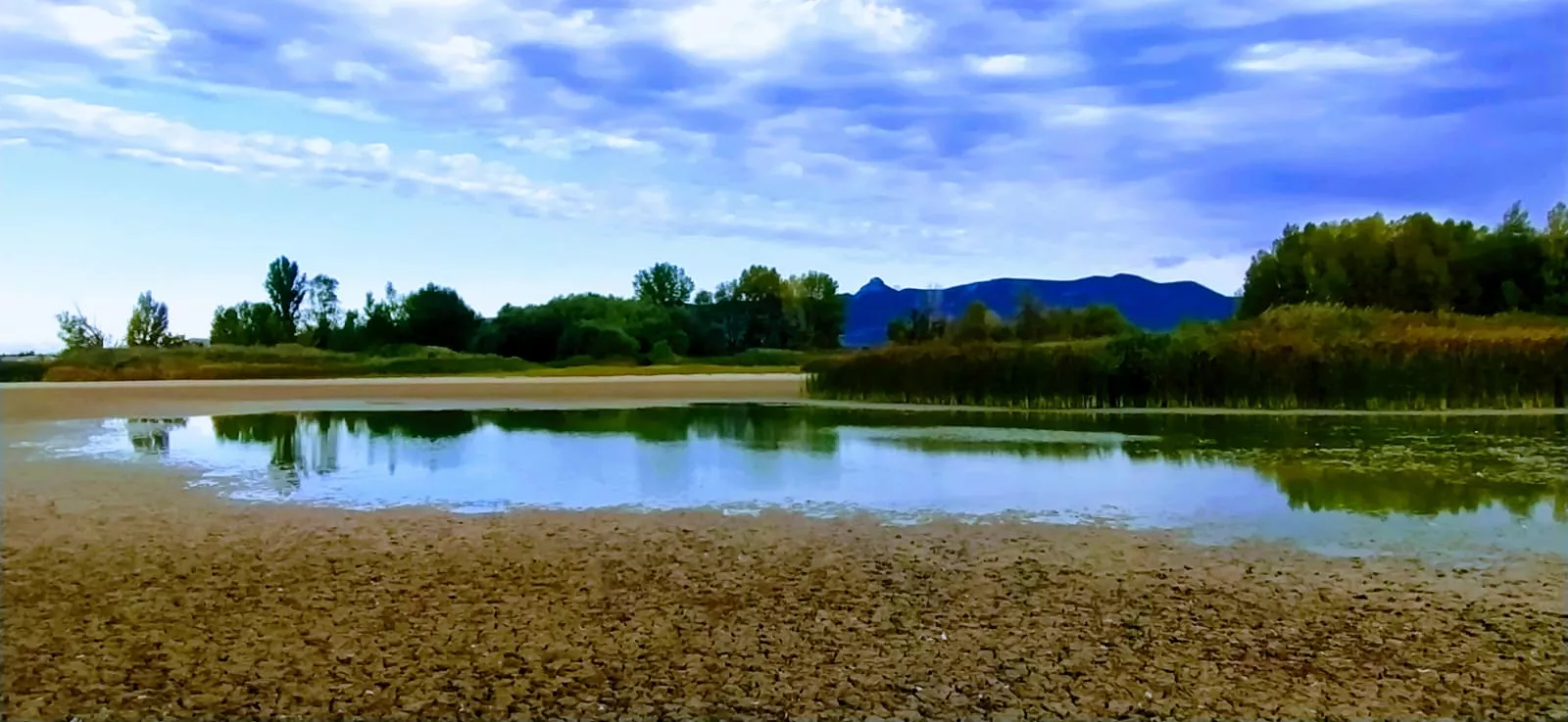 Estado en que se encuentra la alberca de Cortés. Foto Joaquín Santafé