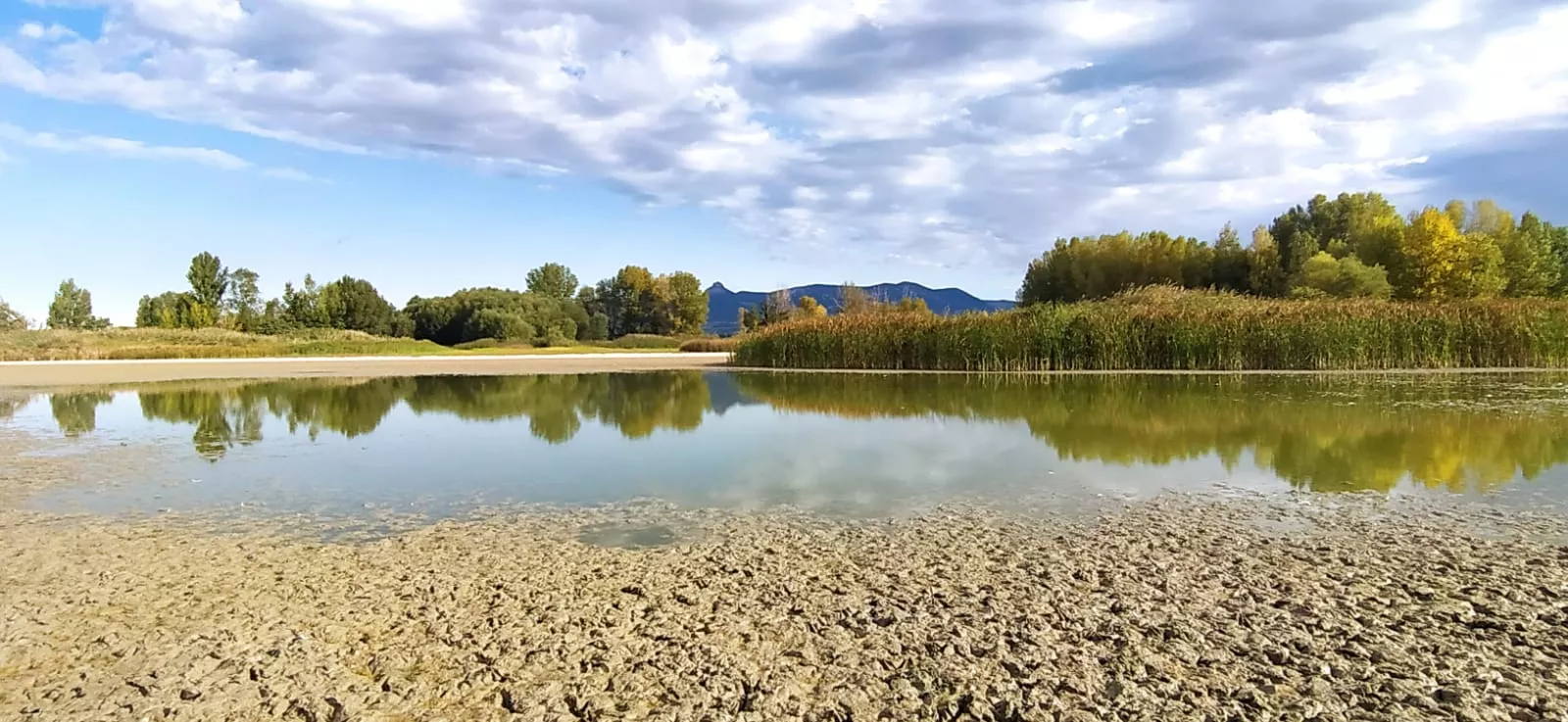 Estado en que se encuentra la alberca de Cortés. Foto Joaquín Santafé