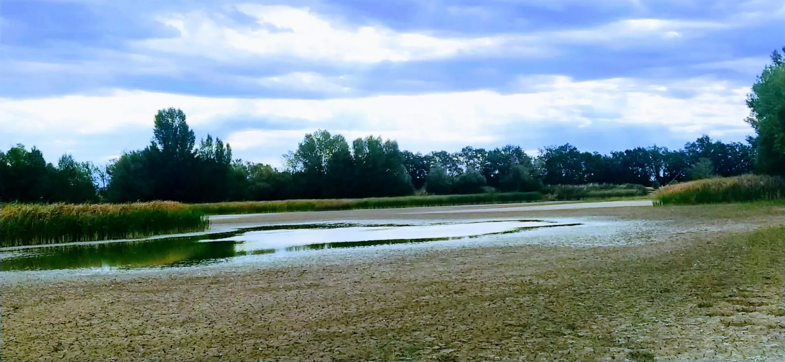 Estado en que se encuentra la alberca de Cortés. Foto Joaquín Santafé