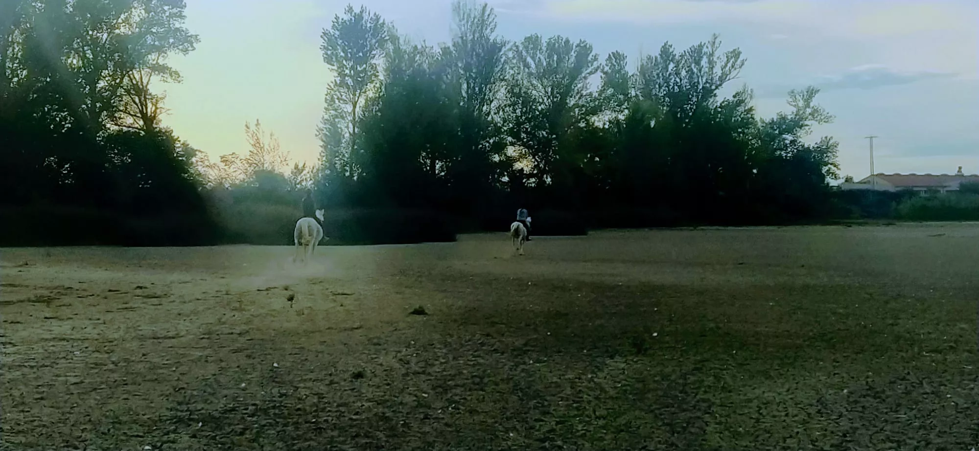 Le acompañó un amigo y se la encontró completamente seca. Foto Joaquín Santafé