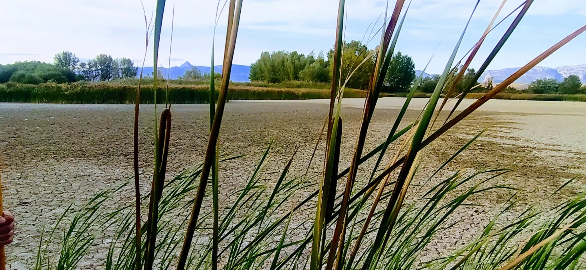 Alberca de Cortés sin agua. Foto Joaquín Santafé