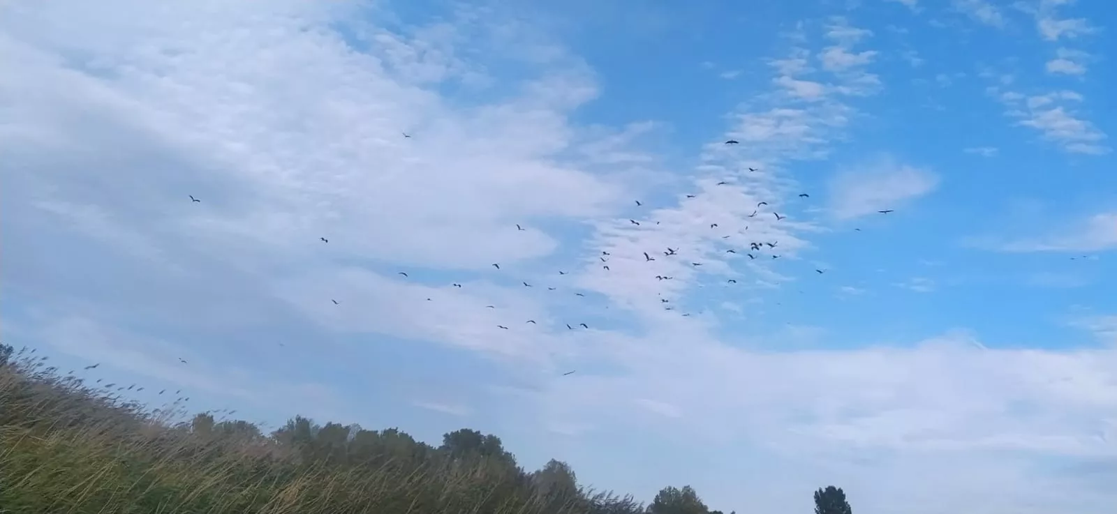 Alberca de Cortés sin agua. Foto Joaquín Santafé