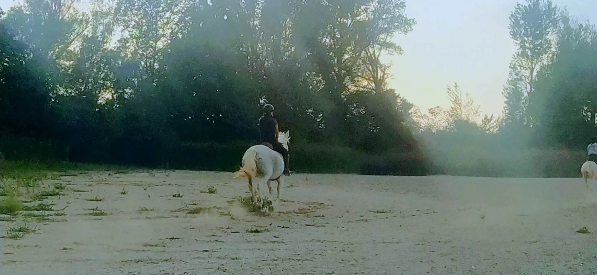 ... con caballos galopando, donde debería haber agua. Foto Joaquín Santafé