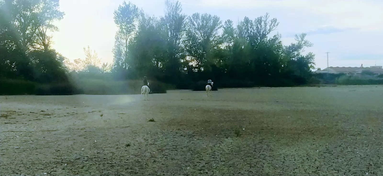 Alberca de Cortés sin agua. Foto Joaquín Santafé