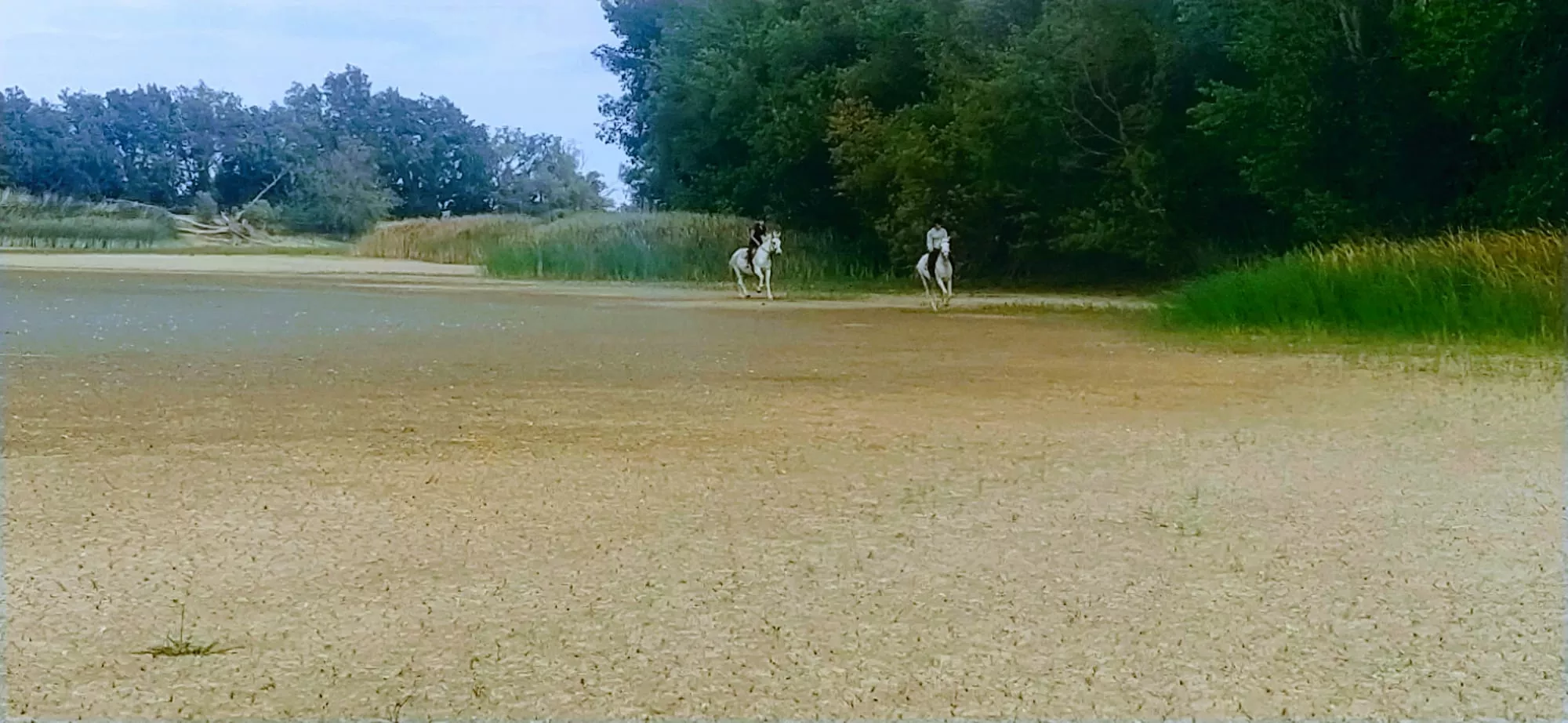 Se había convertido en un improvisado hipódromo. Foto Joaquín Santafé
