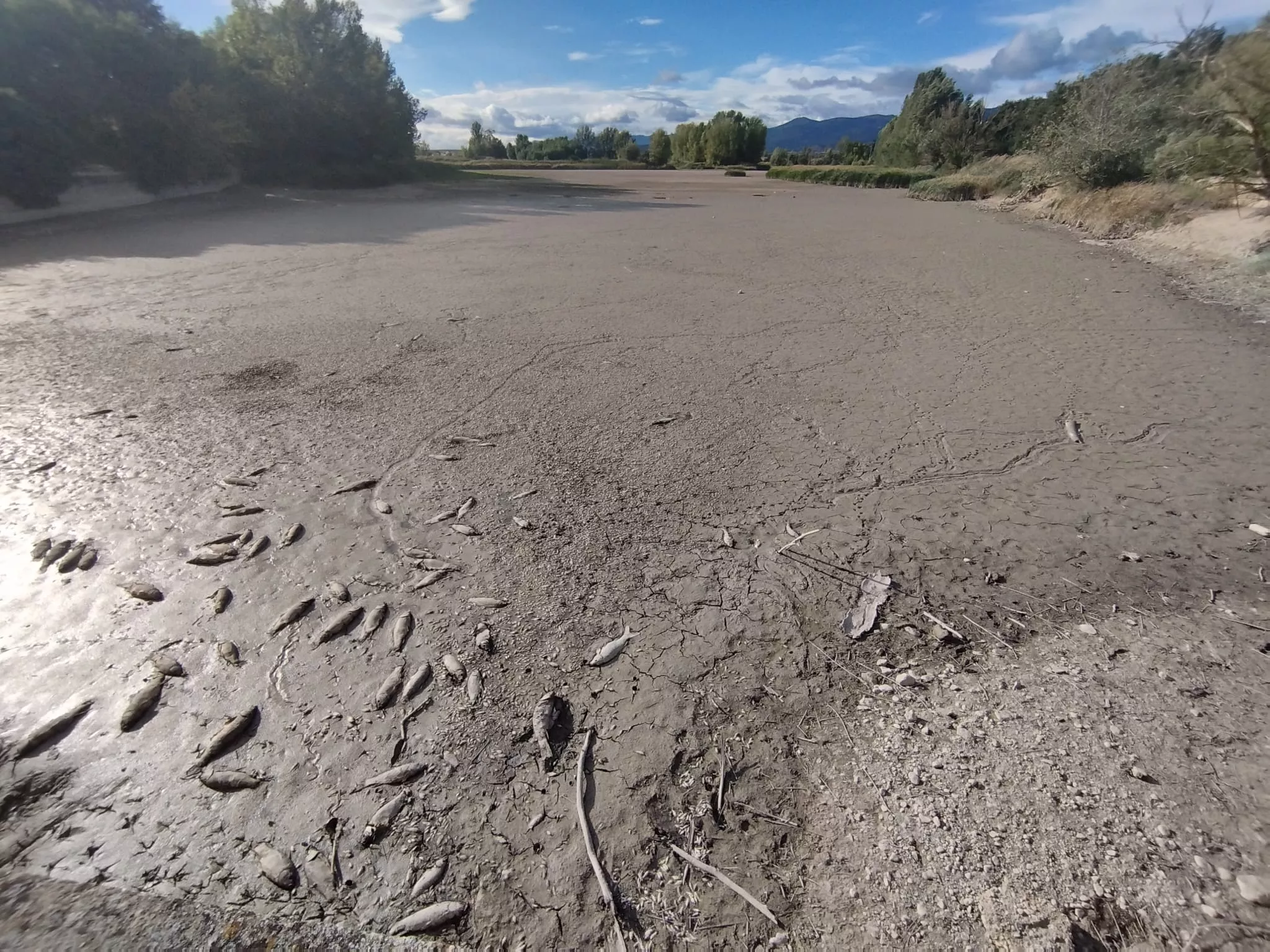 Mientras, muchos oscenses siguen protestando por el desolador panorama.