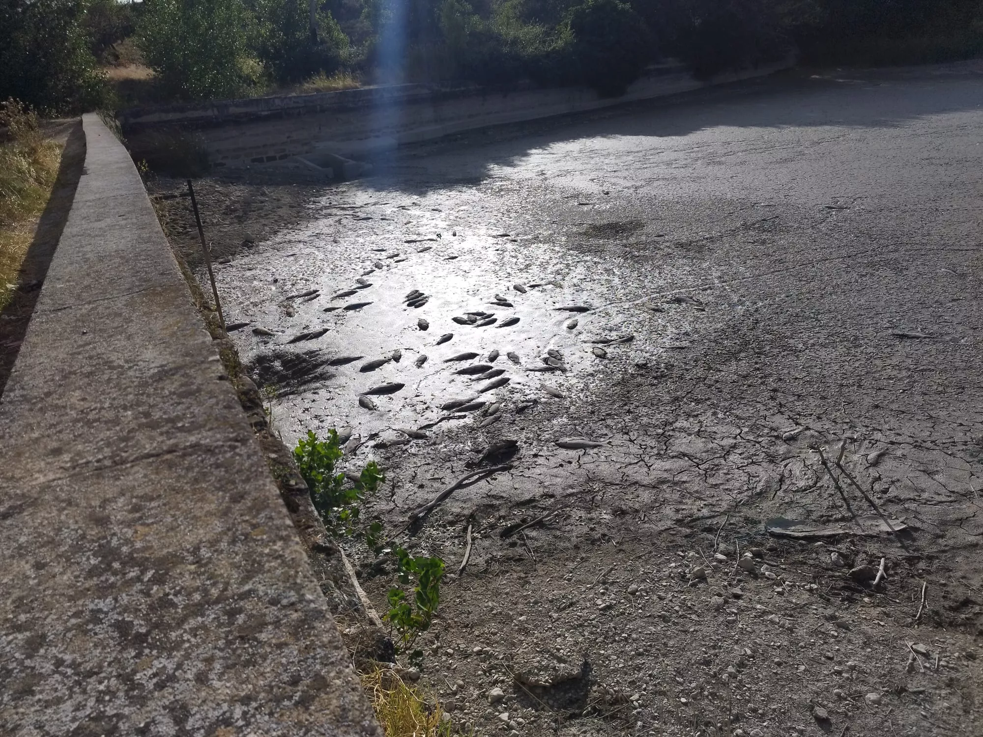 ¿No debería dejarse un remanente de agua para preservar sus vidas?