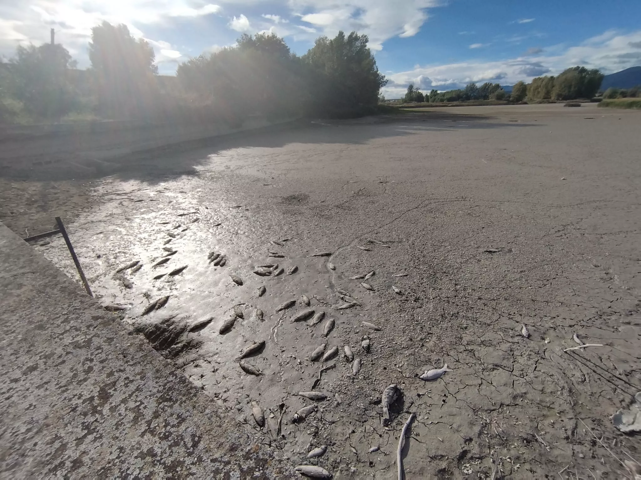 La indignación es considerable.