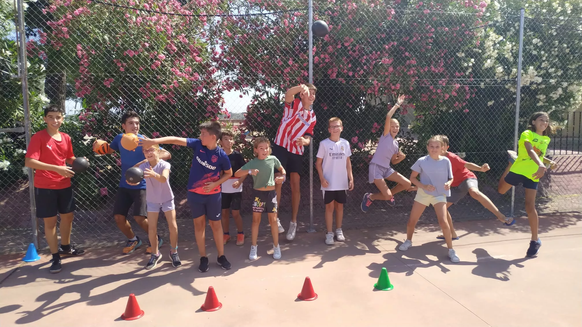 Dachtball en Lagunarrota