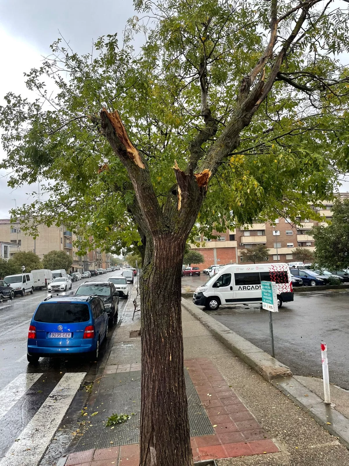 Efectos de la tormenta en la calles de Huesca.