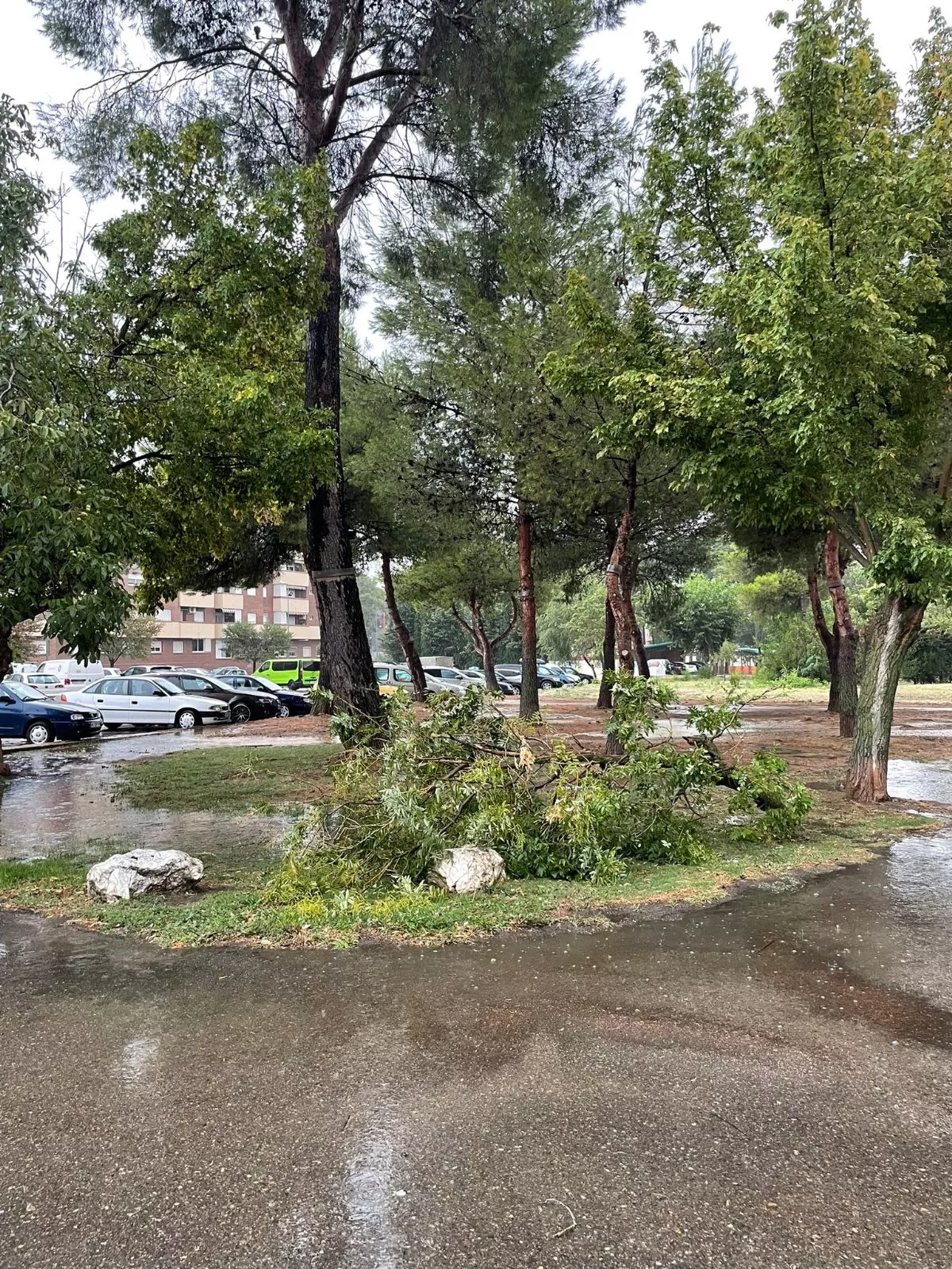 Efectos de la tormenta en la calles de Huesca.