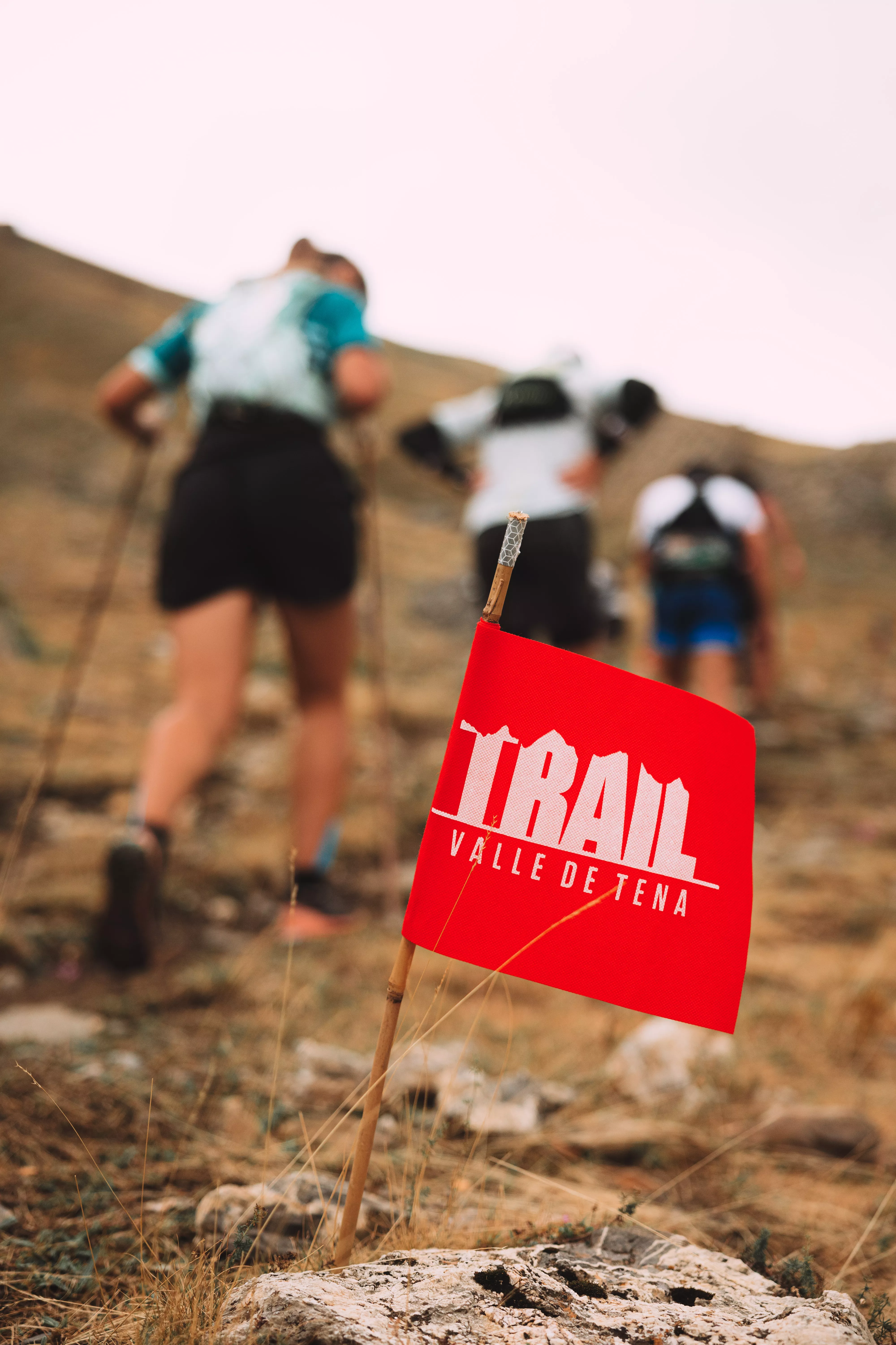 Carrera 2K. Foto Toño Miranda 