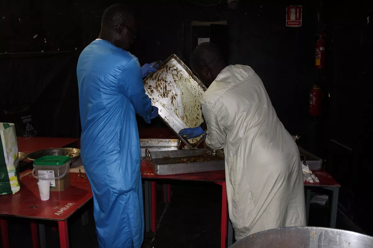 Celebración en Huesca el Waajal Magal Touba 2023.