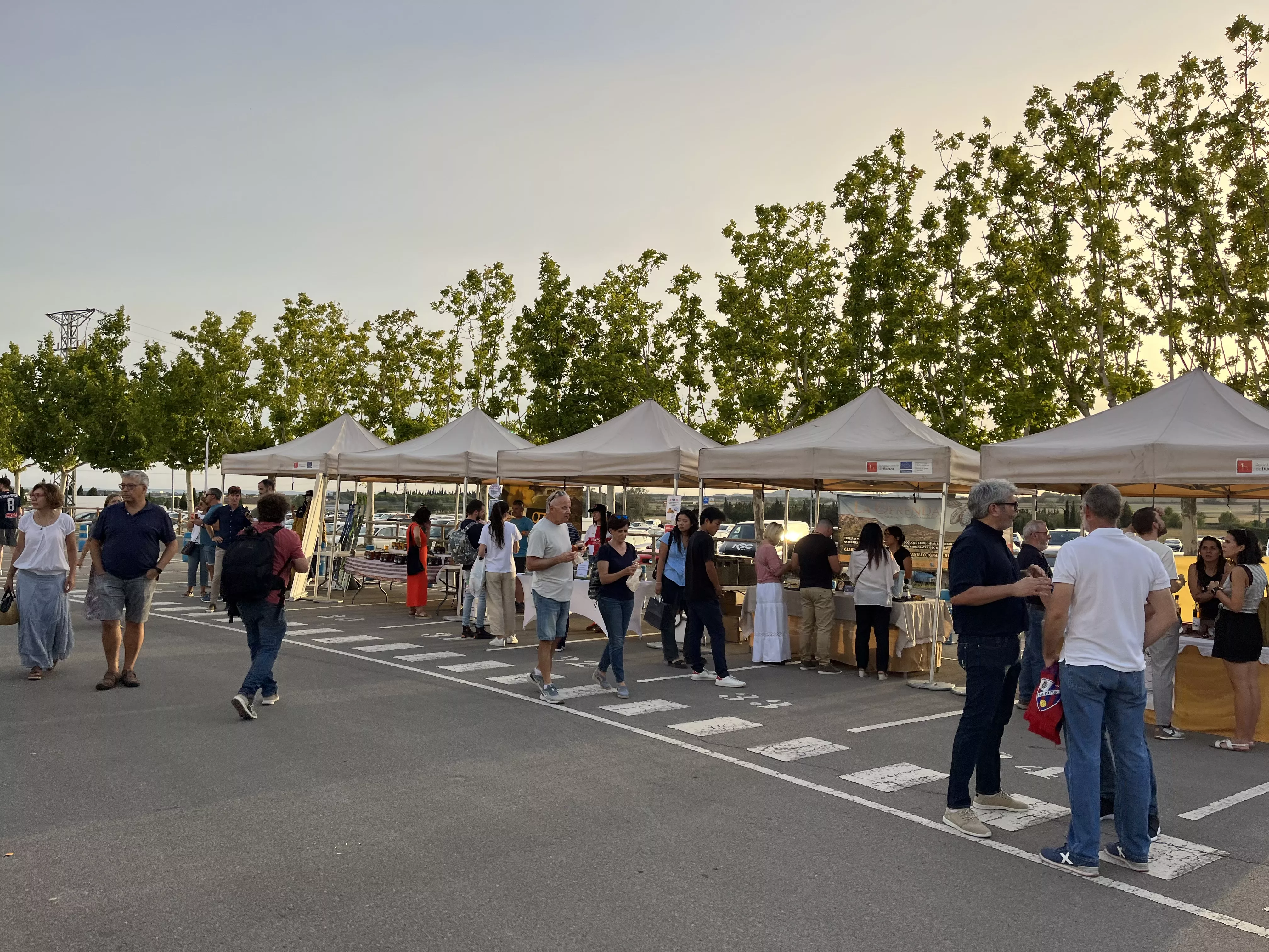 I Copa Pirineo en El Alcoraz. Foto: A. Mora