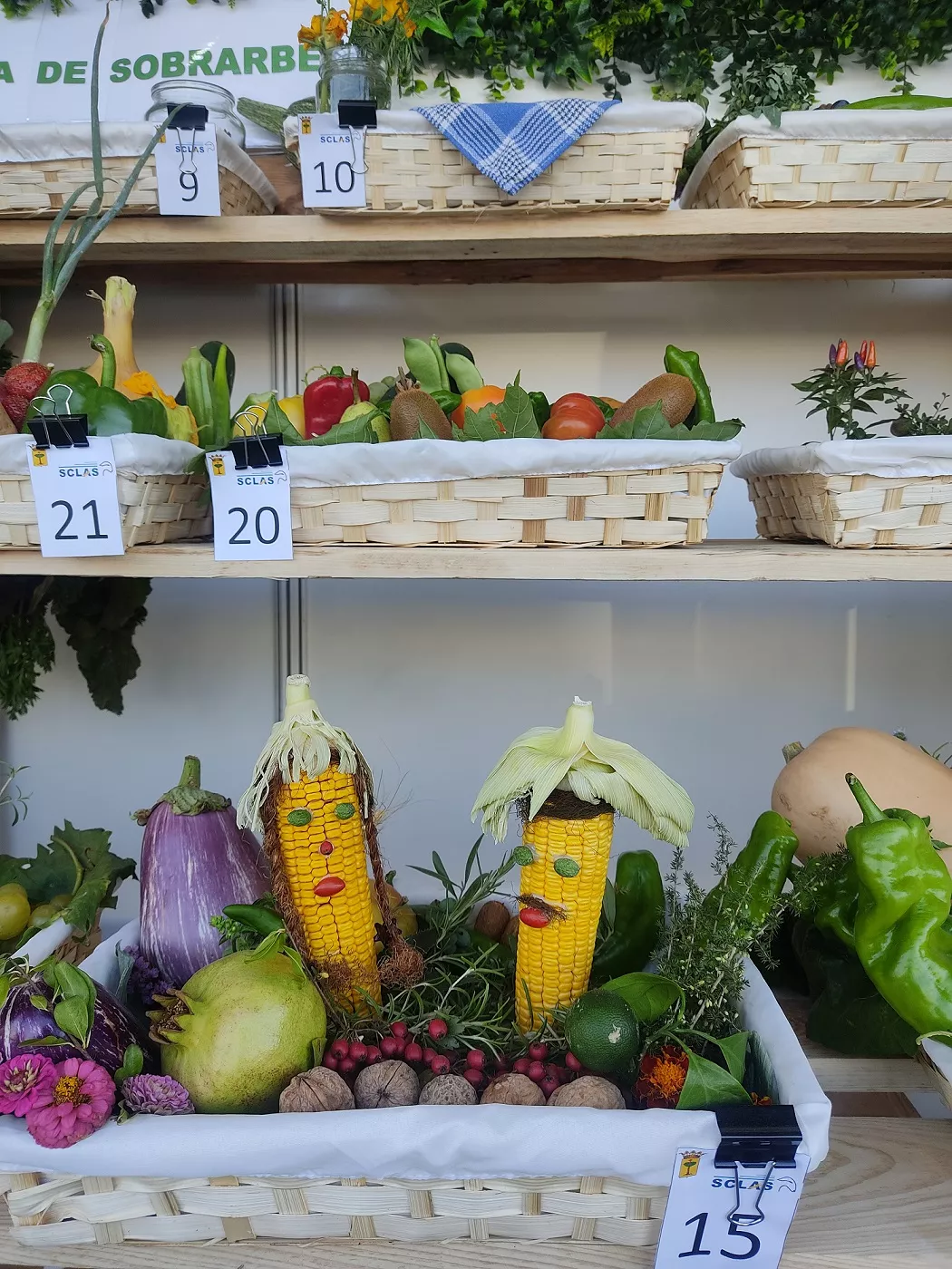 Concurso cesta de la huerta