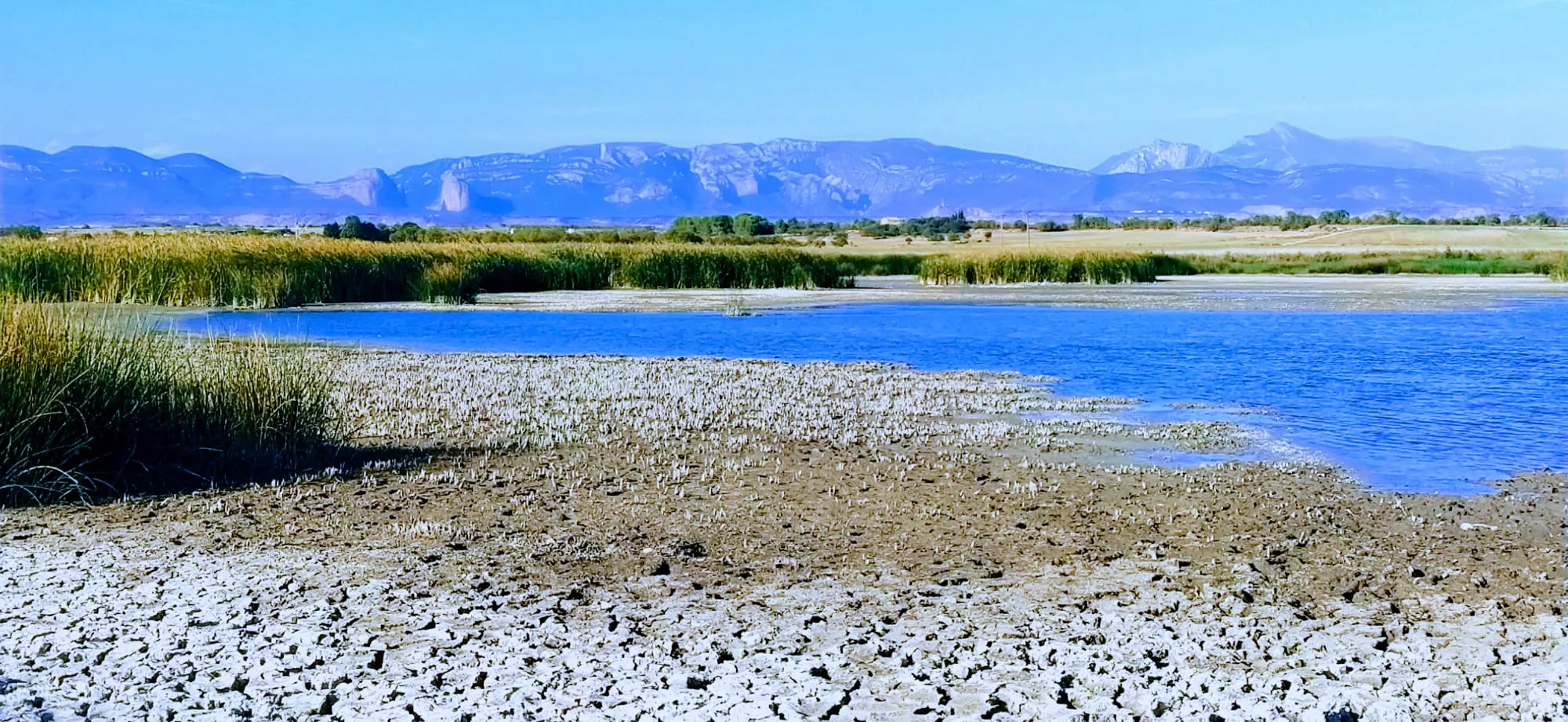 La Alberca de Loreto pertenece al sistema de riegos del Embalse de Arguis ( 3%). Foto Joaquín Santafé