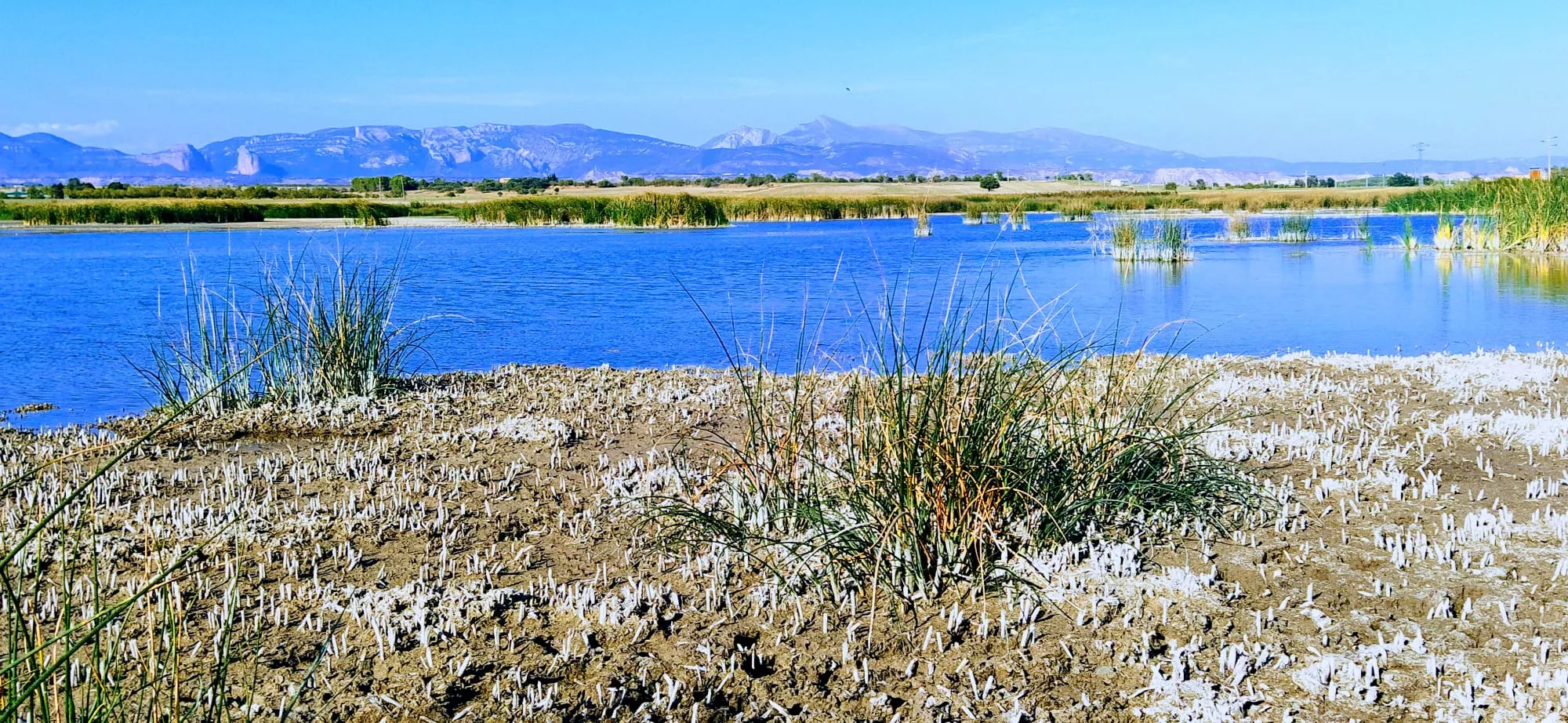 El agua se limita a un reducido espacio en el centro de la Alberca. Foto Joaquín Santafé