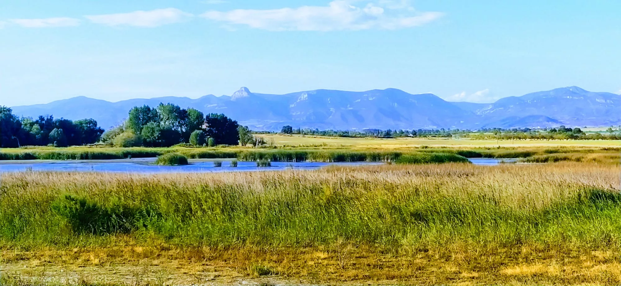 El resto de la Alberca se ha convertido en un pastizal con la hierba muy seca. Foto Joaquín Santafé