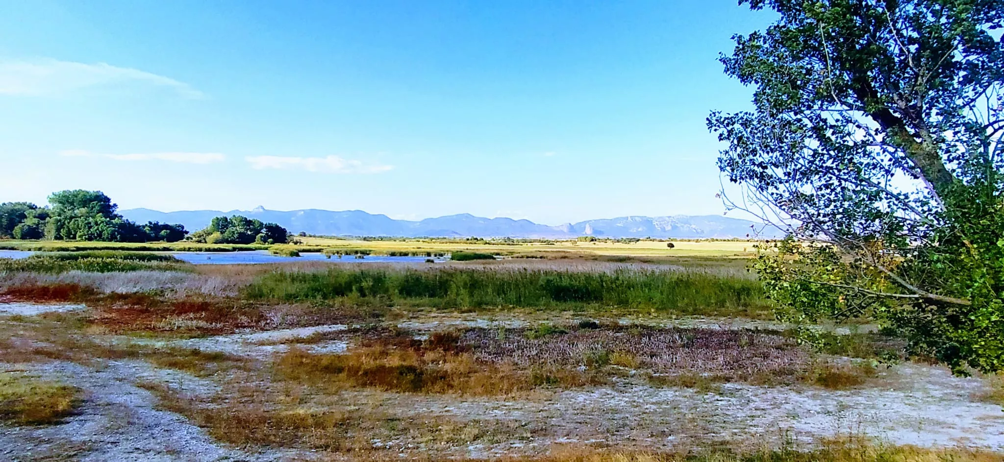 El nivel de agua se encuentra ahora bajísimo. Foto Joaquín Santafé