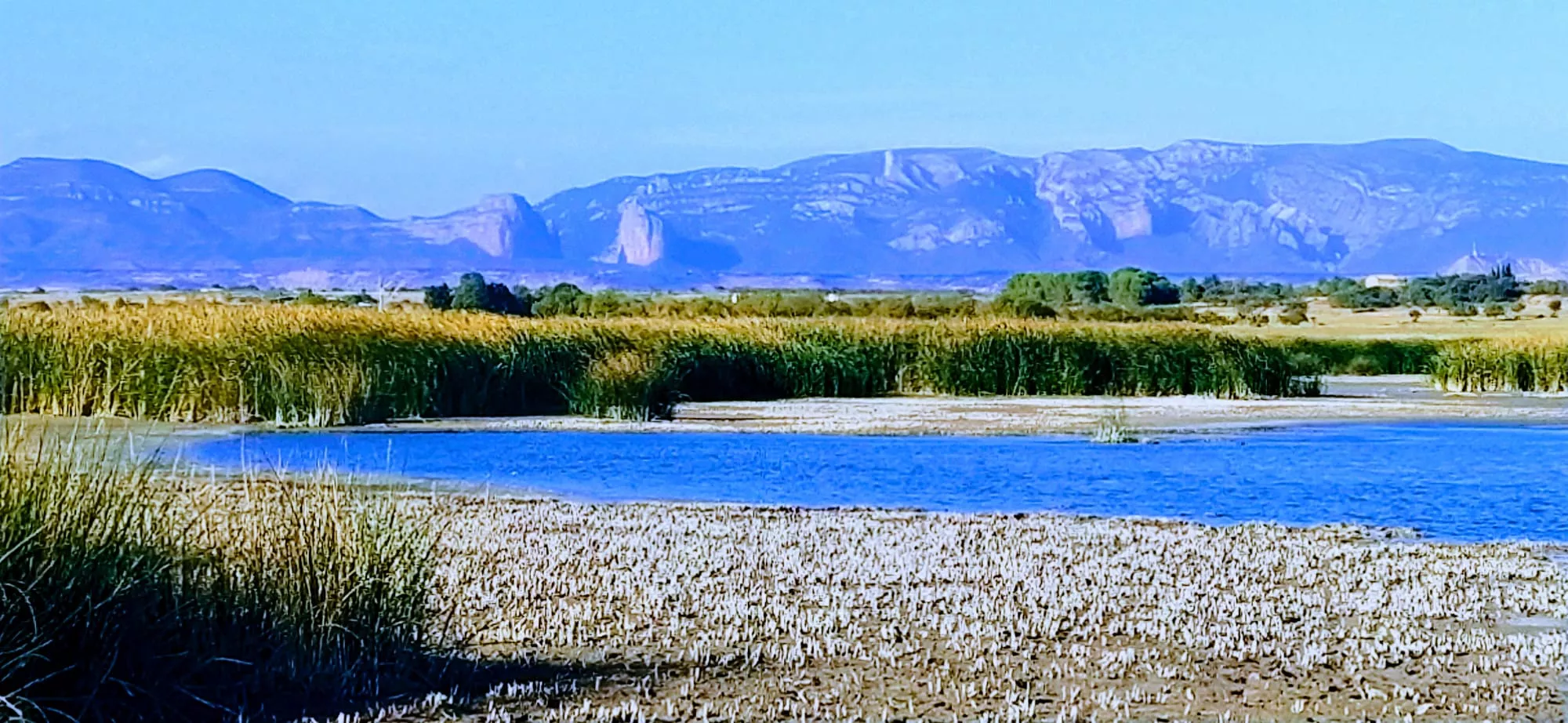 Las Albercas se han convertido en un buen referente del nivel de reserva hídrica del entorno de Huesca. Foto Joaquín Santafé