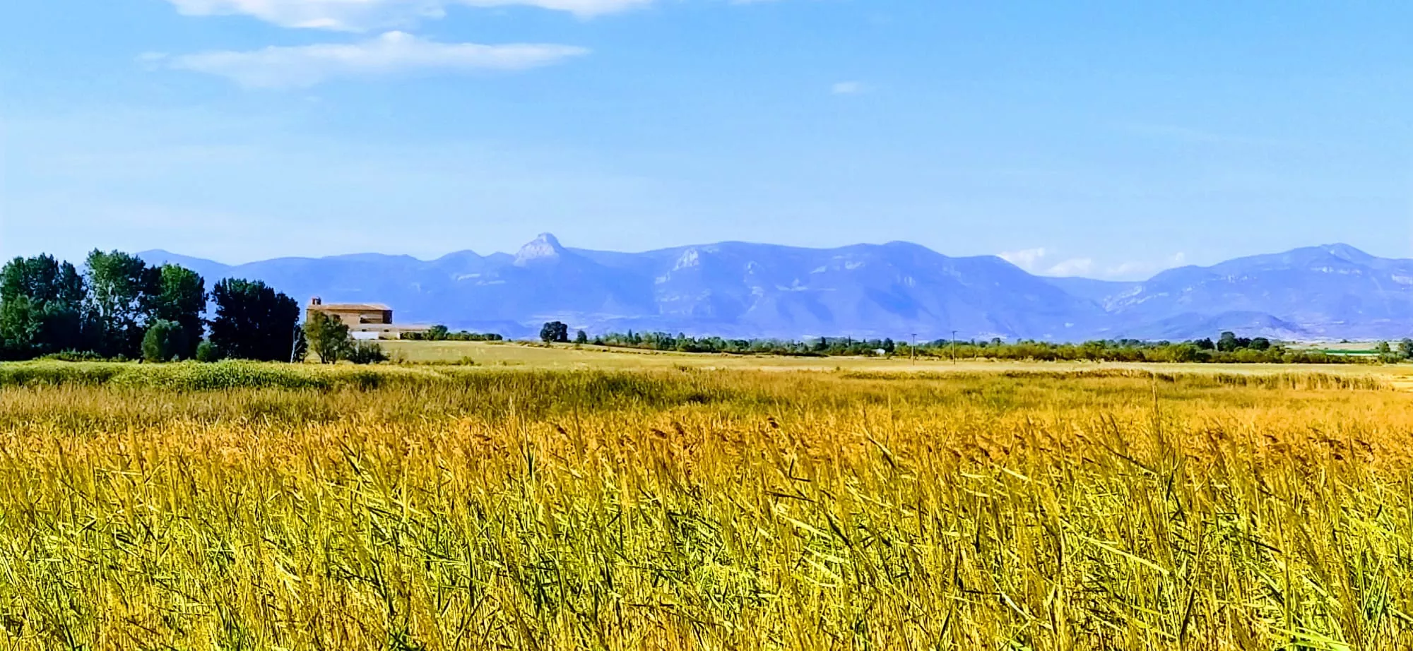 Como curiosidad, el Embalse de Montearagón se encuentra al 11% y Vadiello, al 21 %. Foto Joaquín Santafé