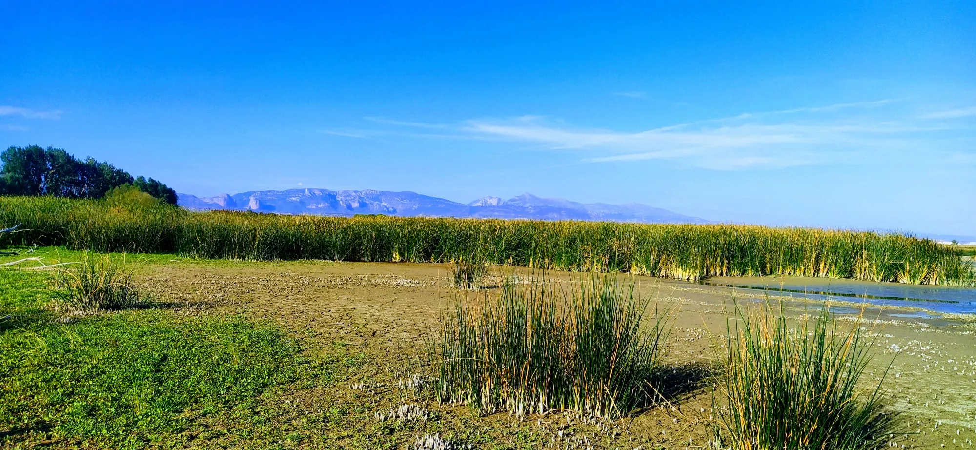 Alberca de Loreto. Foto Joaquín Santafé