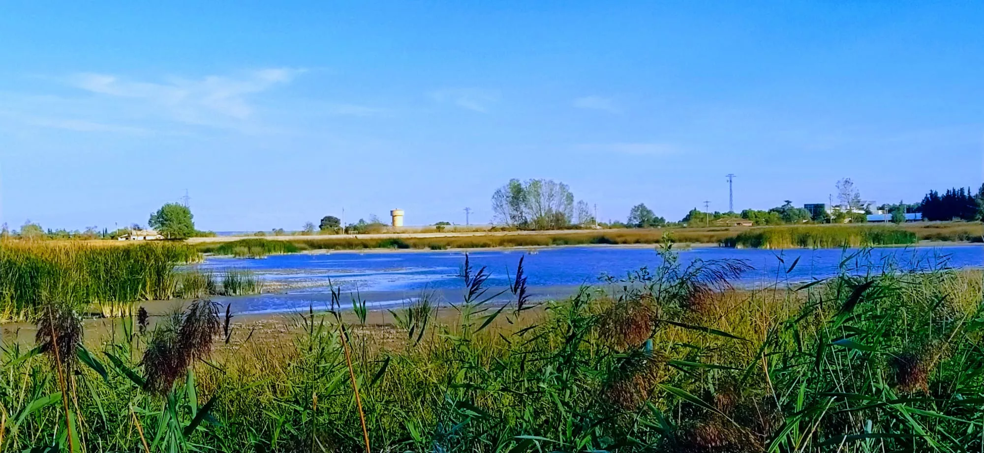 Alberca de Loreto. Foto Joaquín Santafé