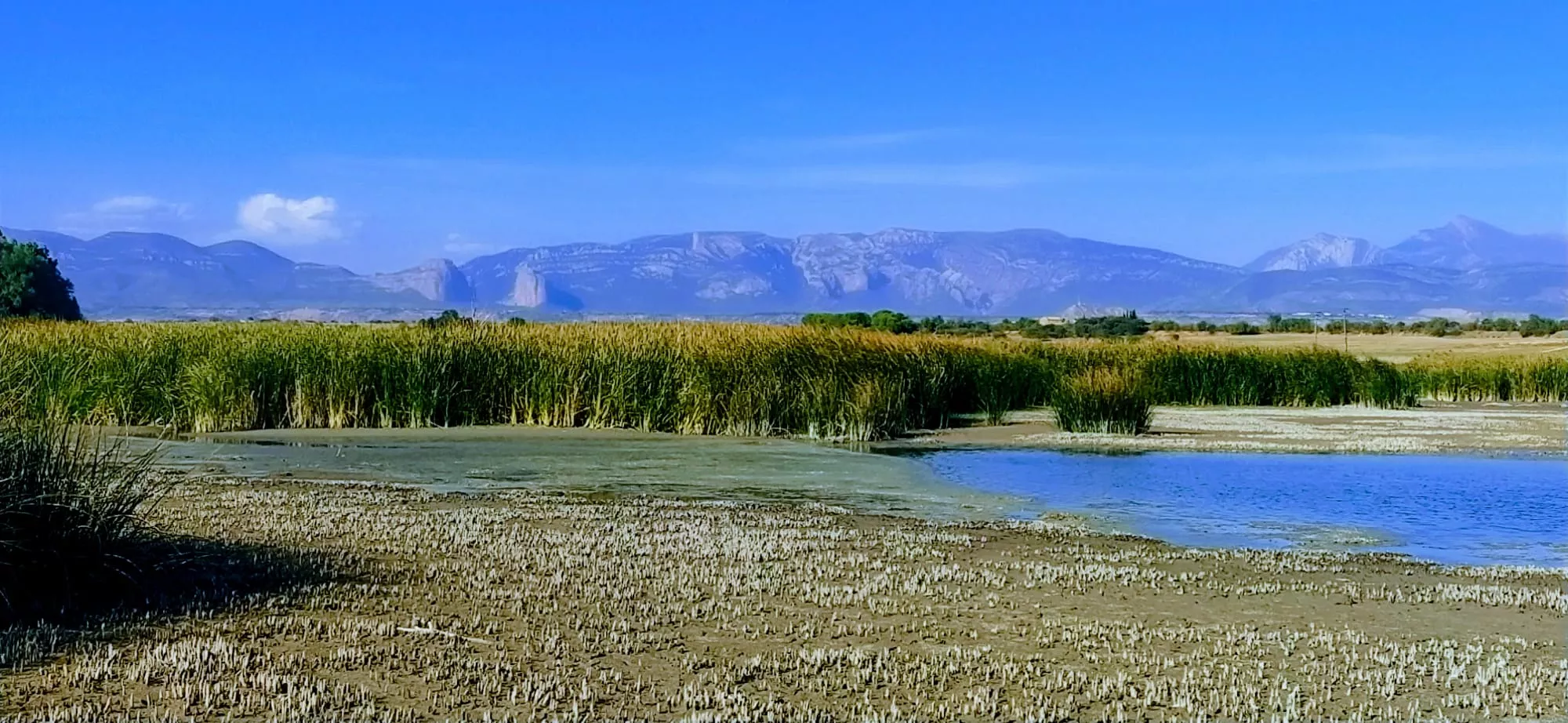 Alberca de Loreto. Foto Joaquín Santafé