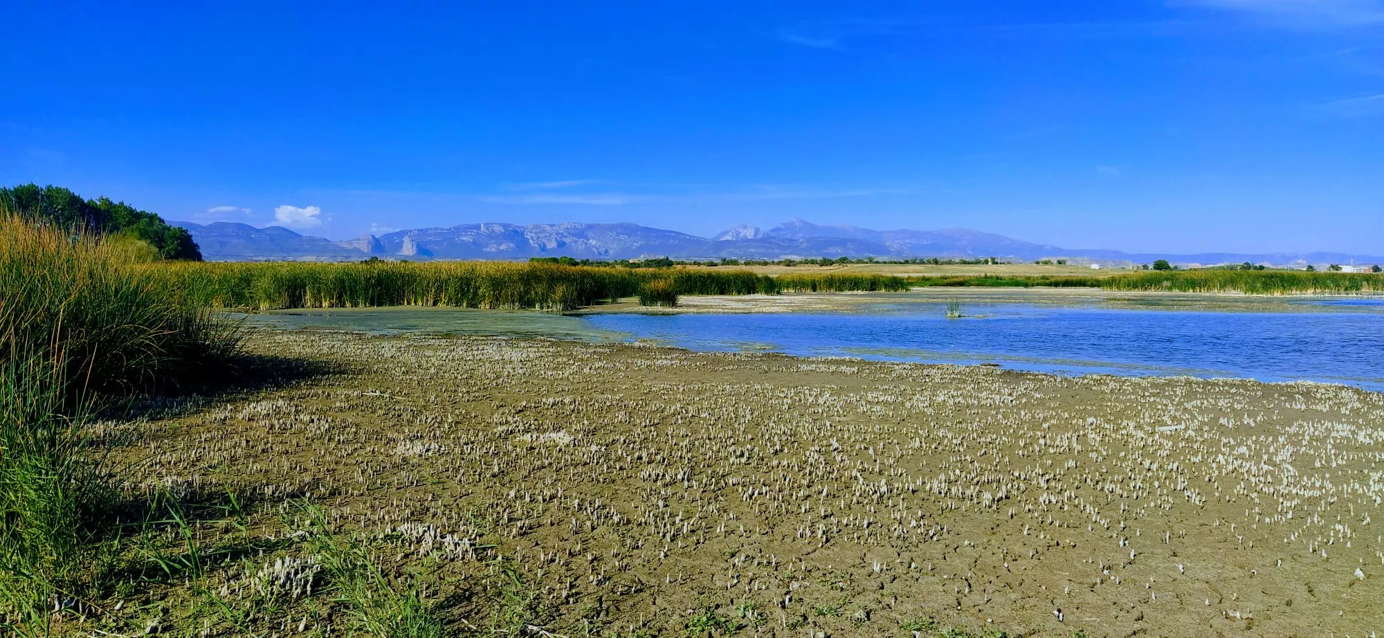 Alberca de Loreto. Foto Joaquín Santafé