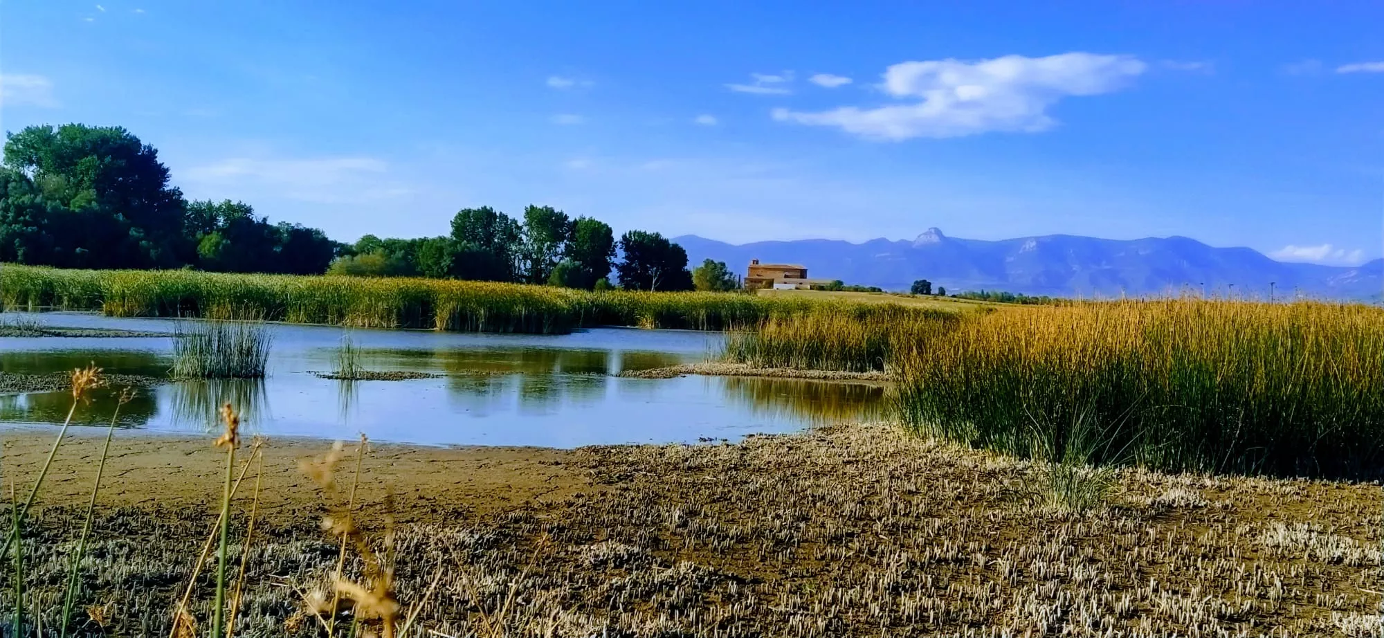 Alberca de Loreto. Foto Joaquín Santafé