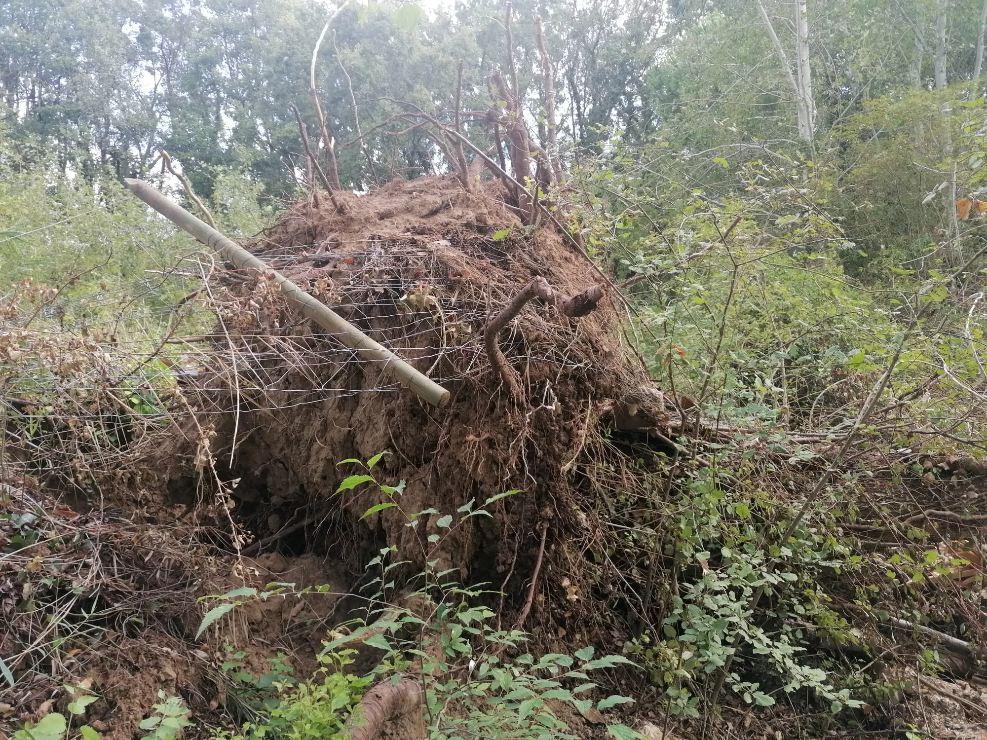 Una empresa se ha encargado de limpiar y asegurar la zona