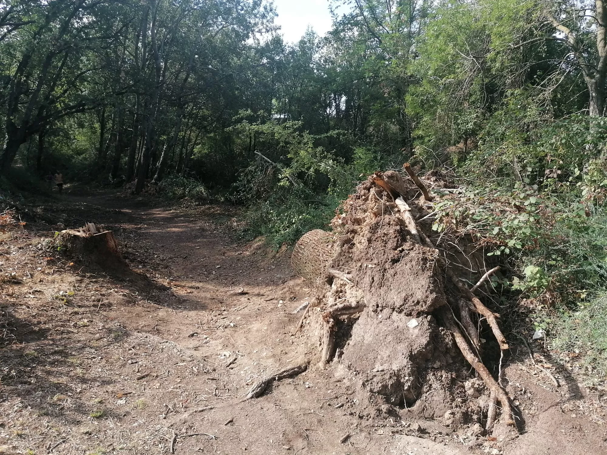 Una empresa se ha encargado de limpiar y asegurar la zona