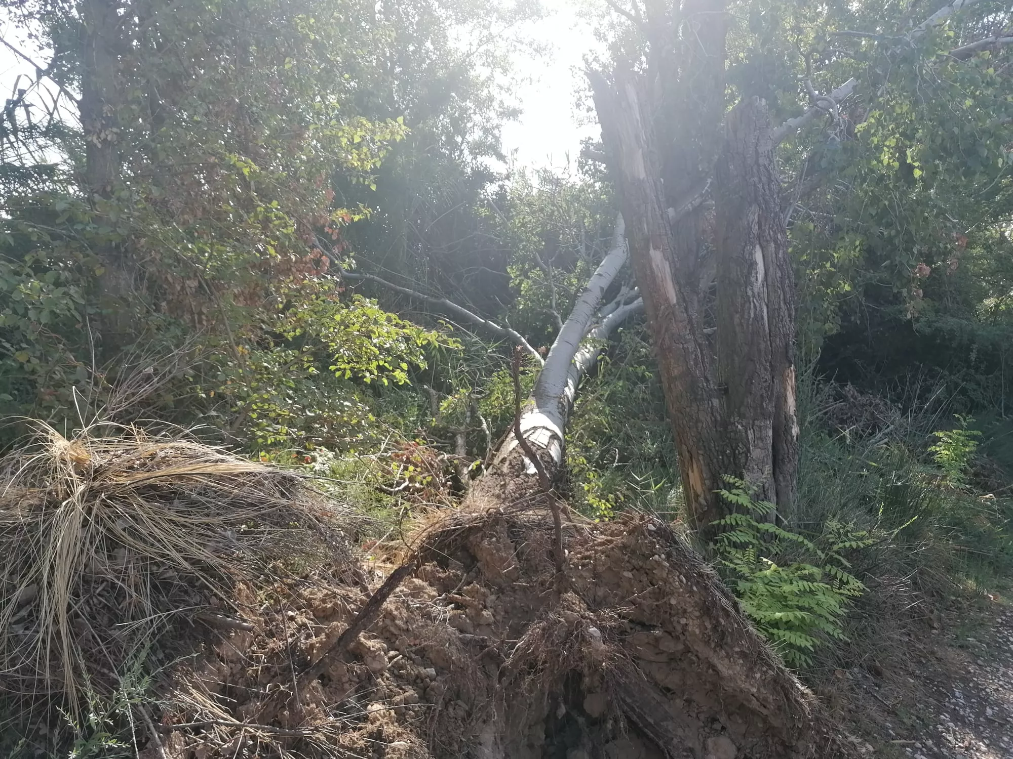 Todavía quedan algunas zona que evidencian las consecuencias de la tormenta.