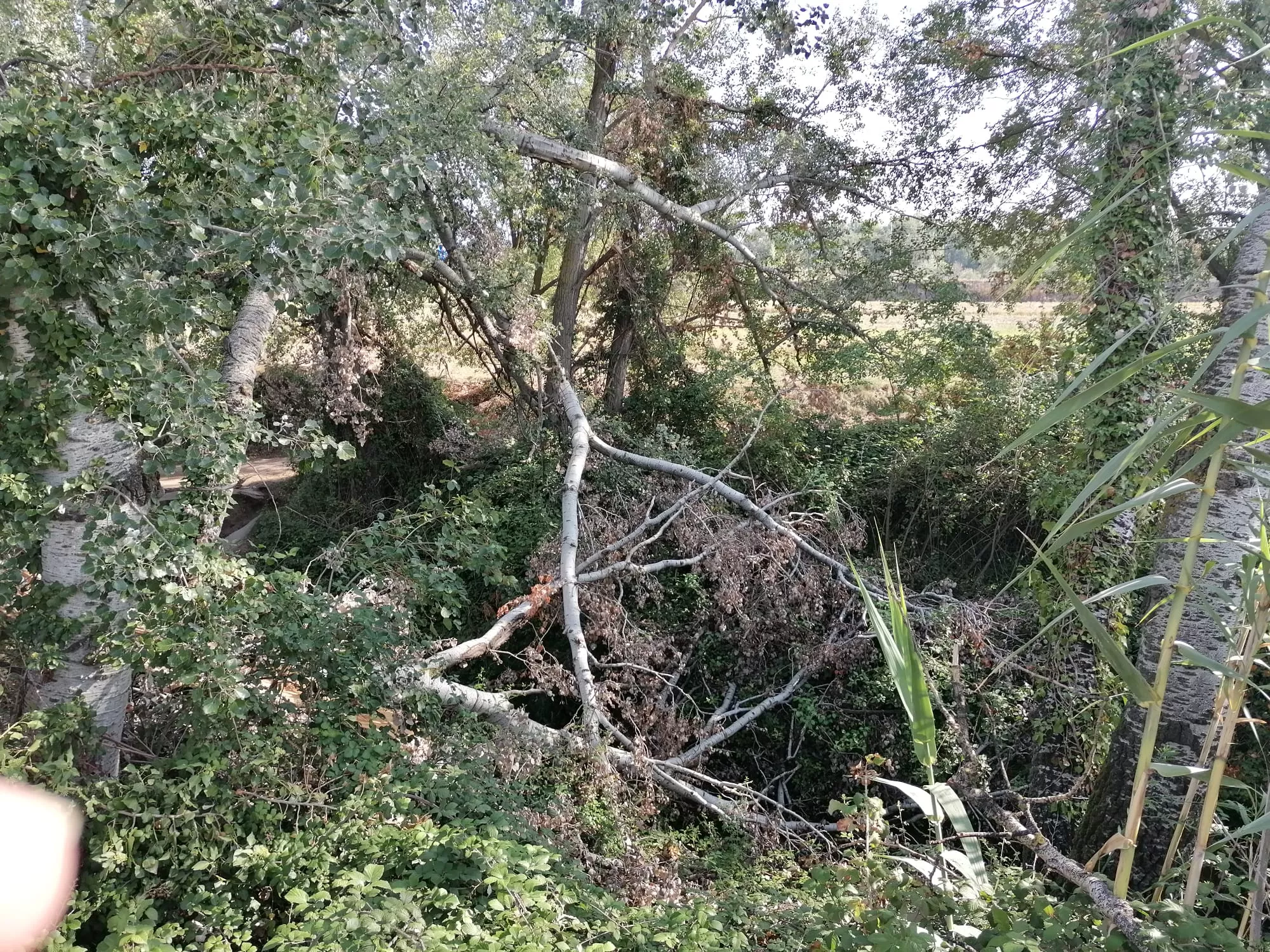 Todavía quedan algunas zona que evidencian las consecuencias de la tormenta.