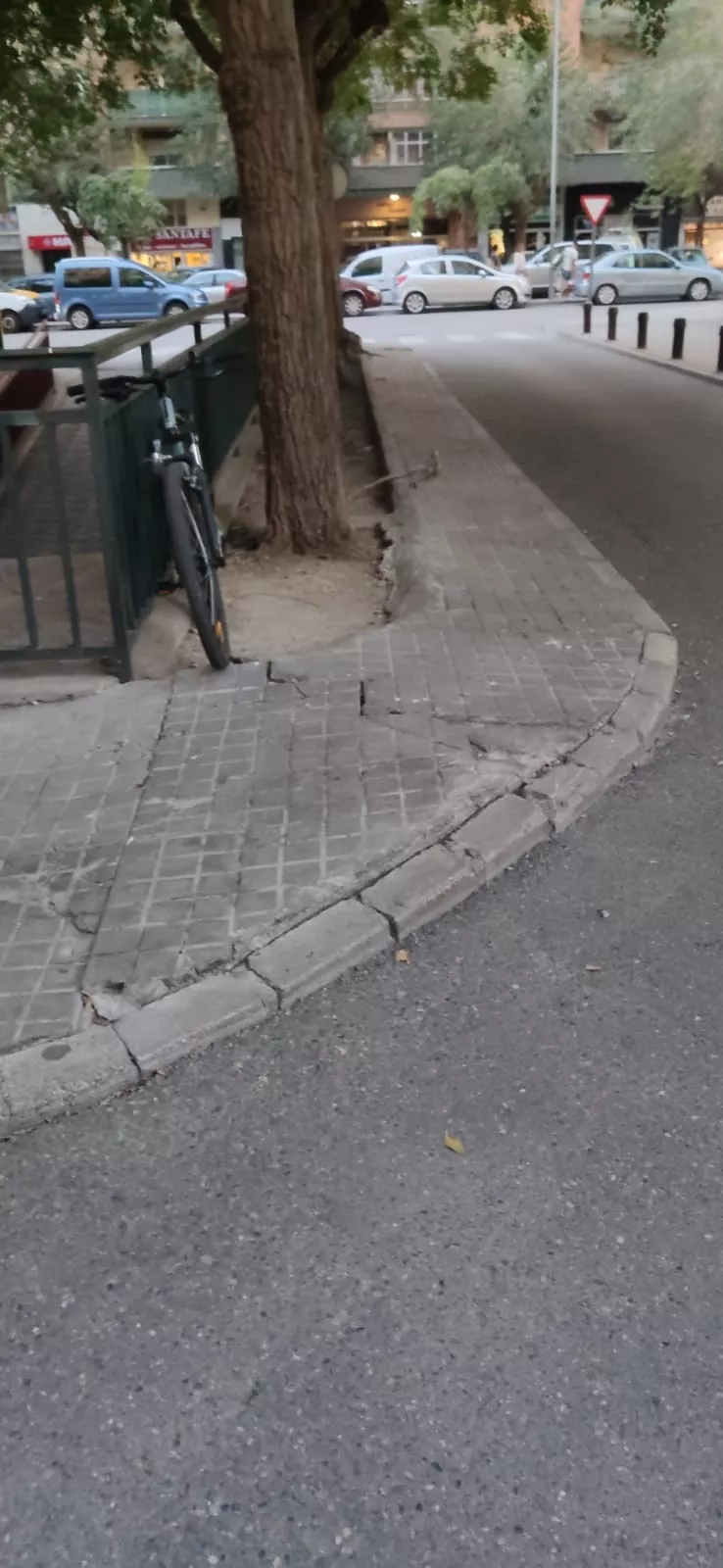 Avenida Pirineos (1)