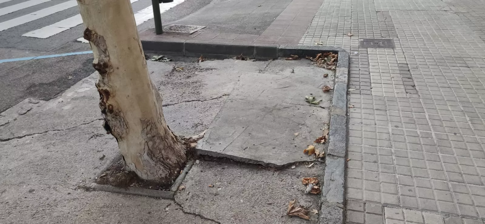 Calle del Parque (1)