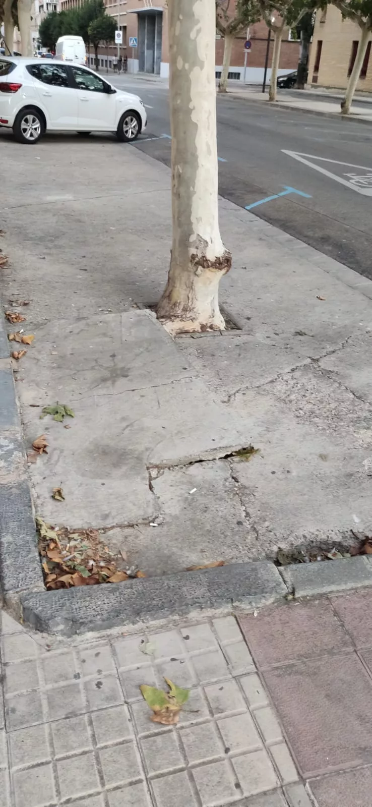 Calle del Parque (2)