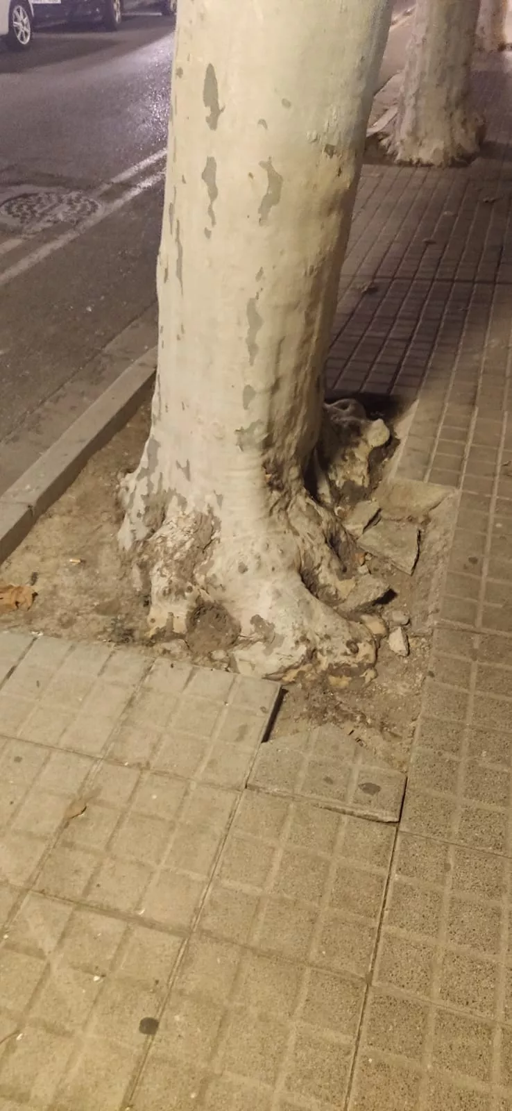 Calle del Parque (3)