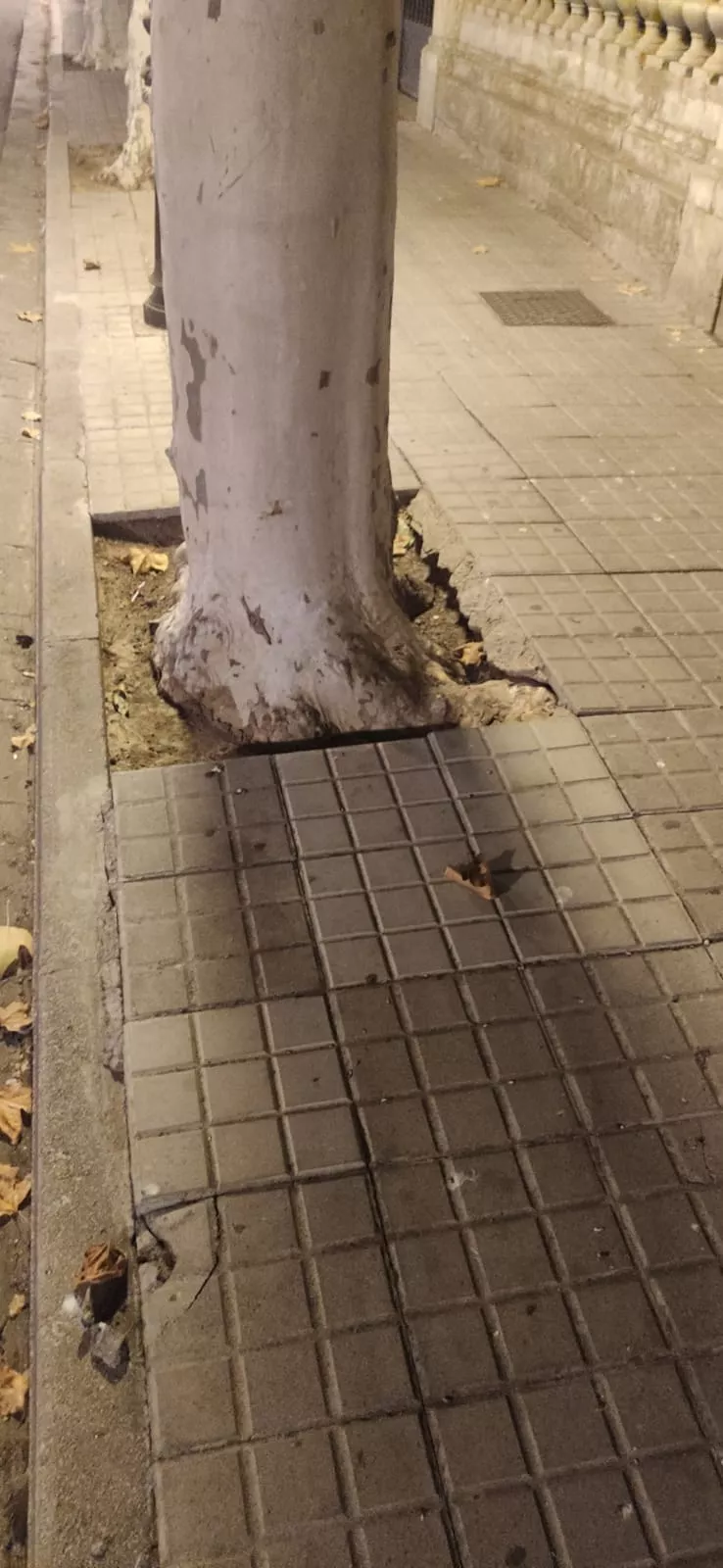 Calle del Parque (4)