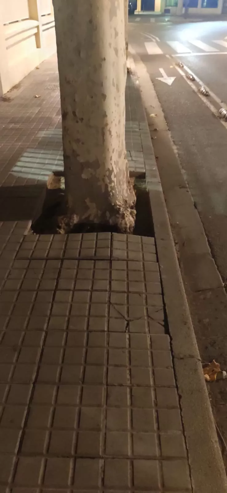 Calle del Parque (5)