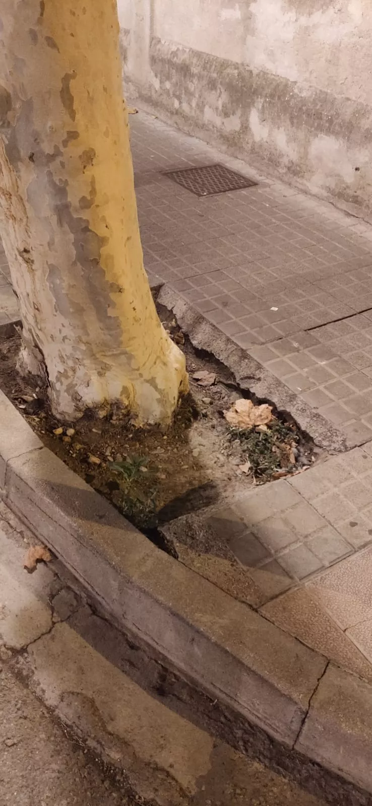 Calle del Parque (6)